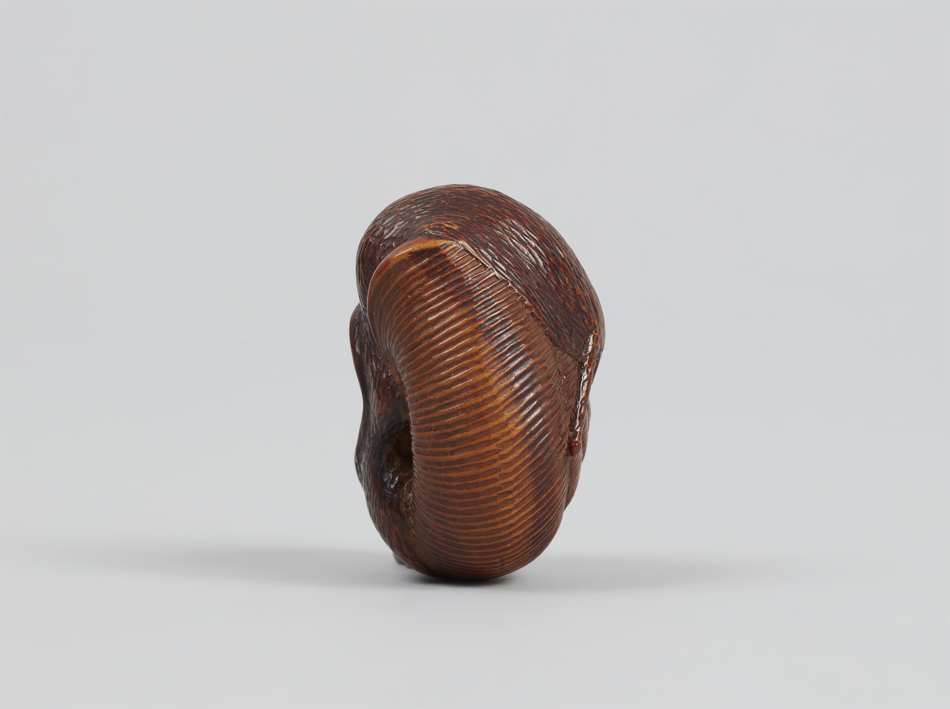 A good boxwood netsuke of a snail. Around 1800 - image-5