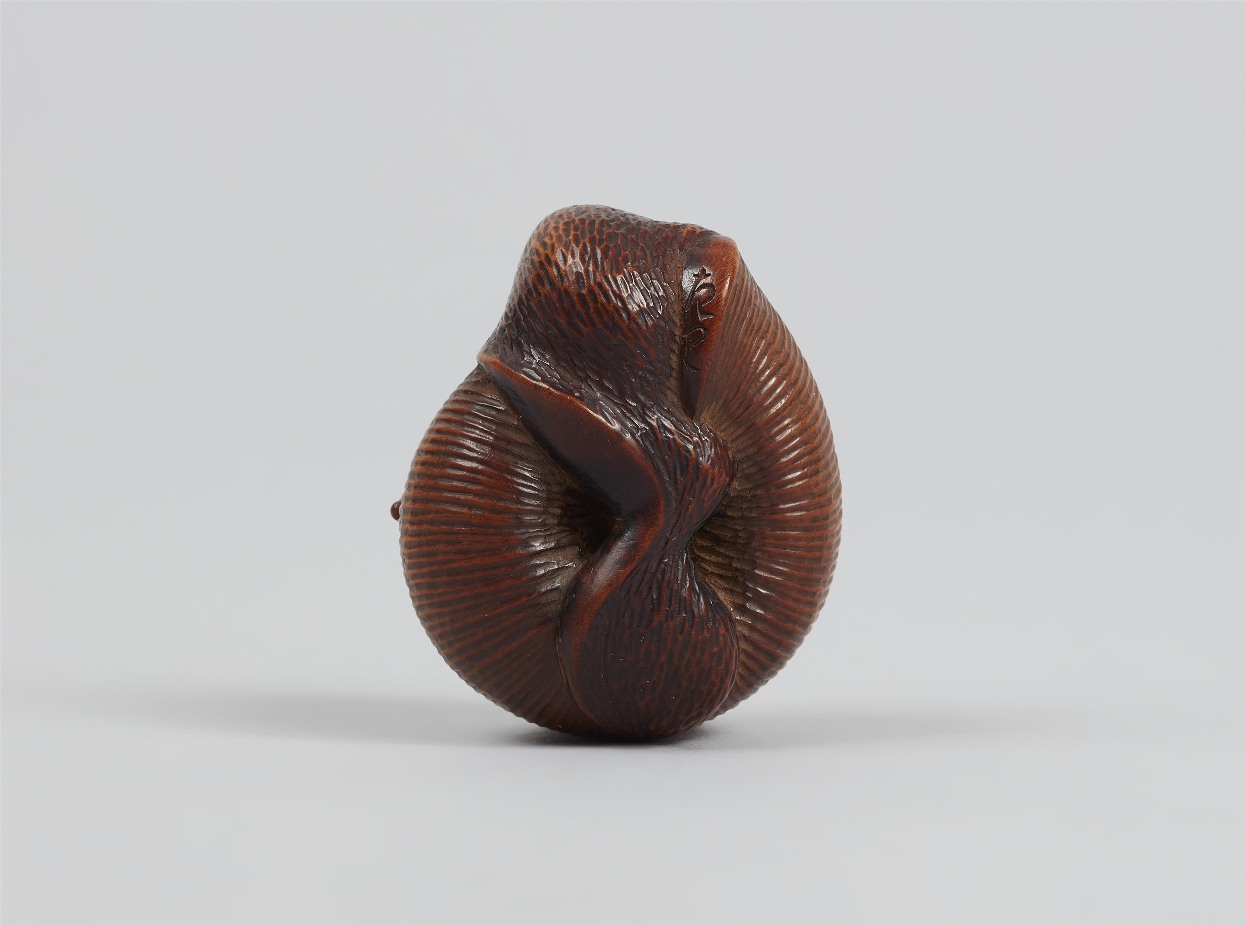 A good boxwood netsuke of a snail. Around 1800 - image-6