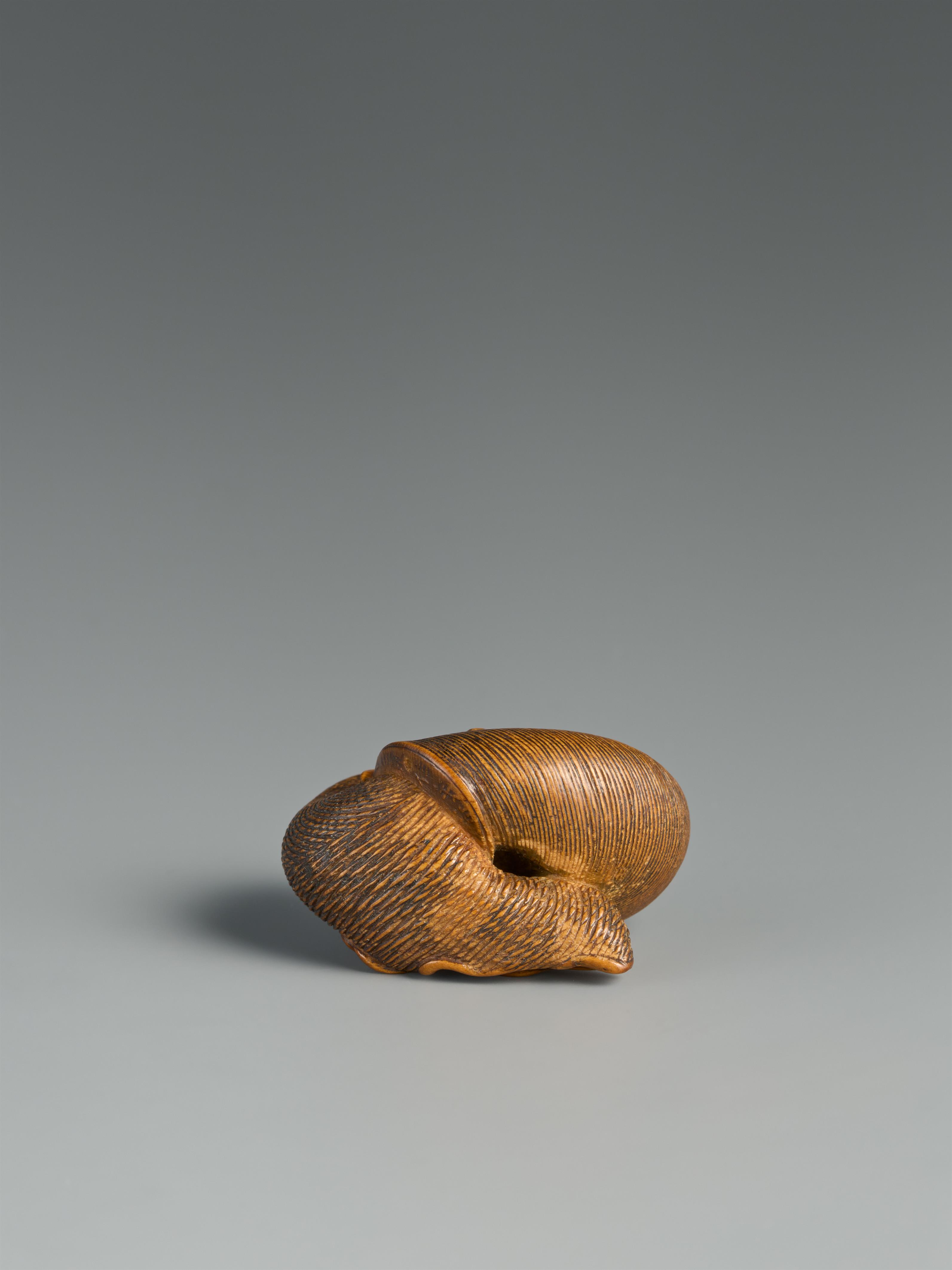 A good boxwood netsuke of a snail. 19th century - image-2