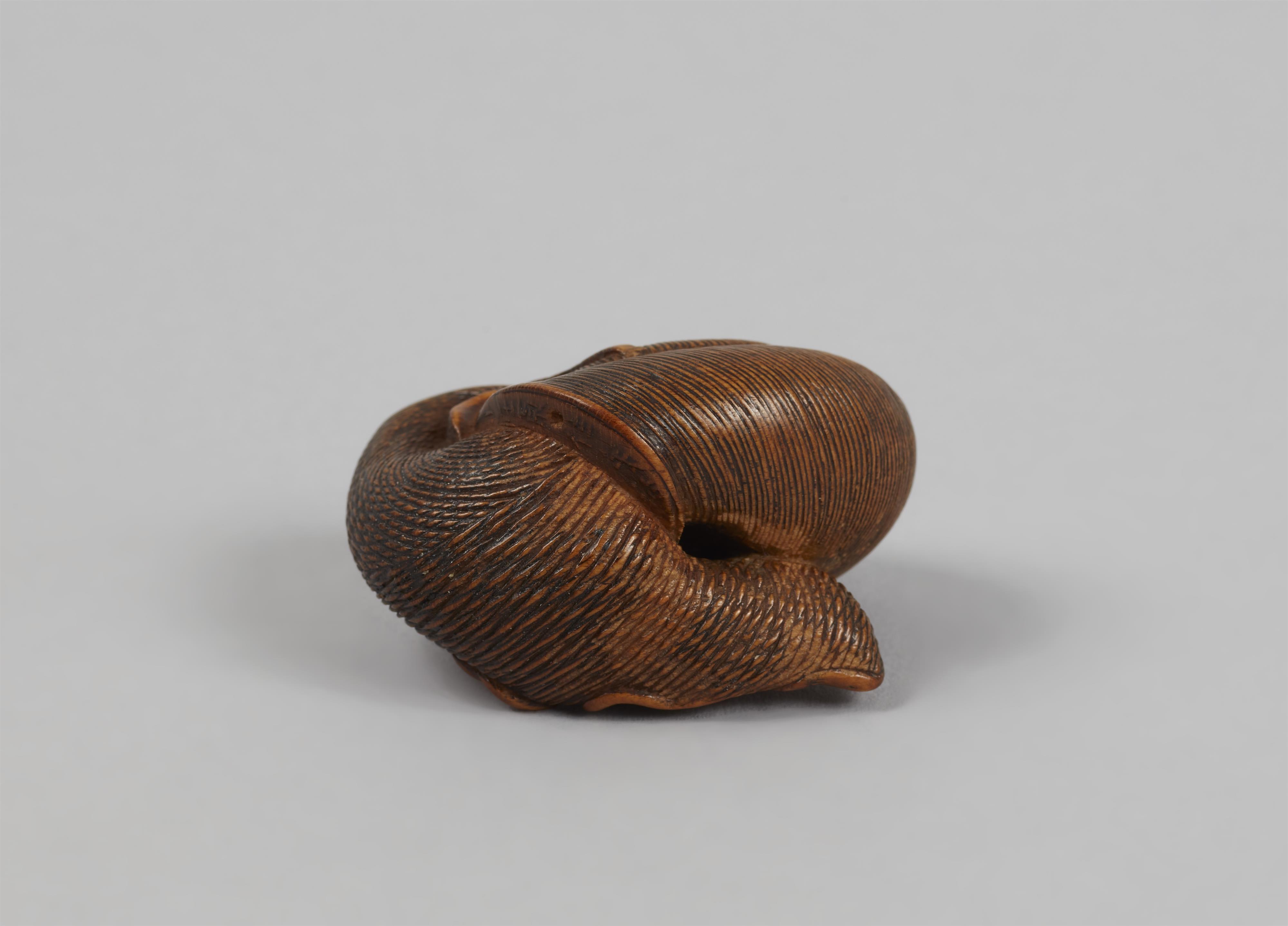 A good boxwood netsuke of a snail. 19th century - image-5