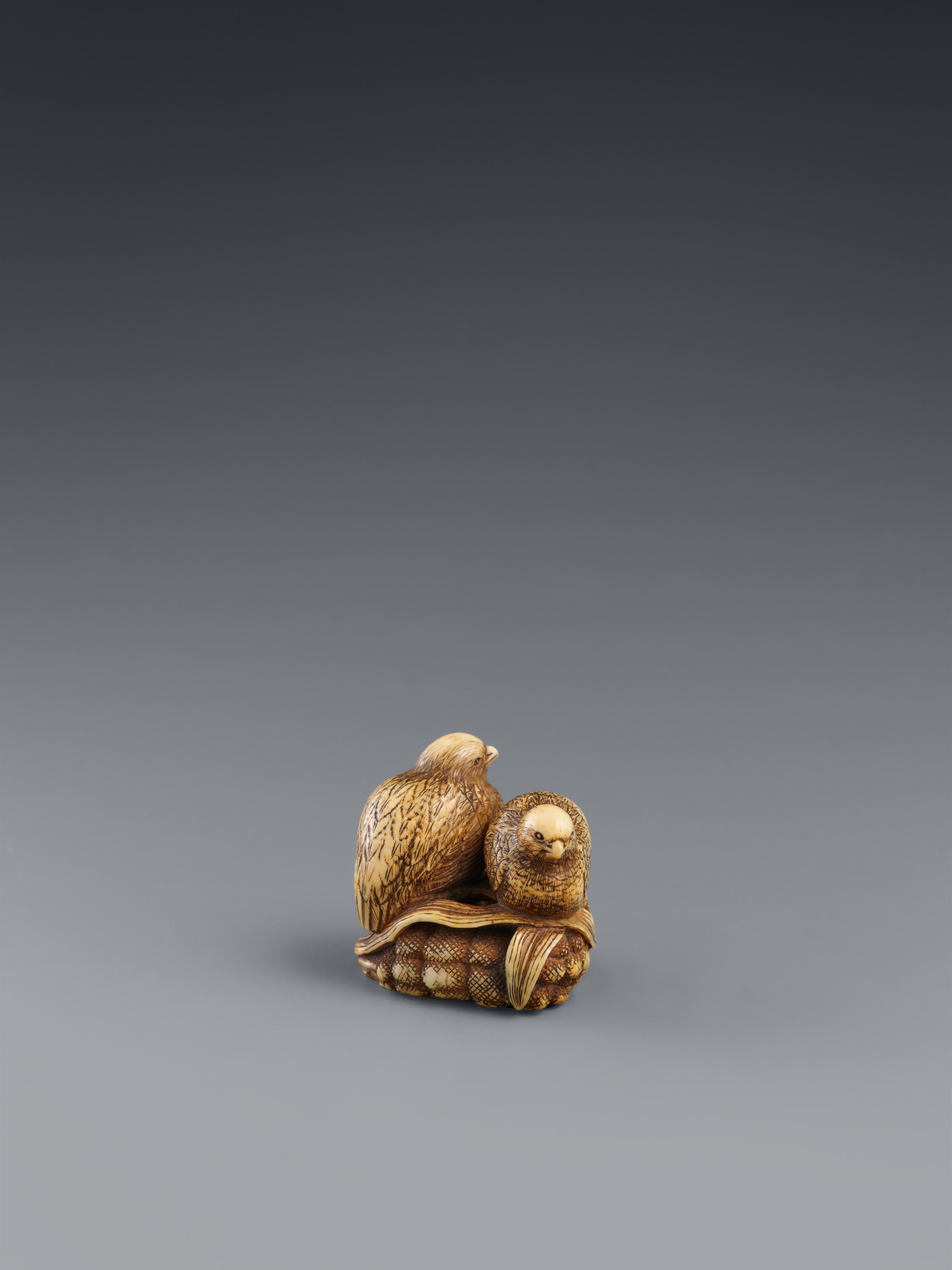 Netsuke zweier Wachteln auf Hirse. Elfenbein. Frühes 19. Jh. - image-2