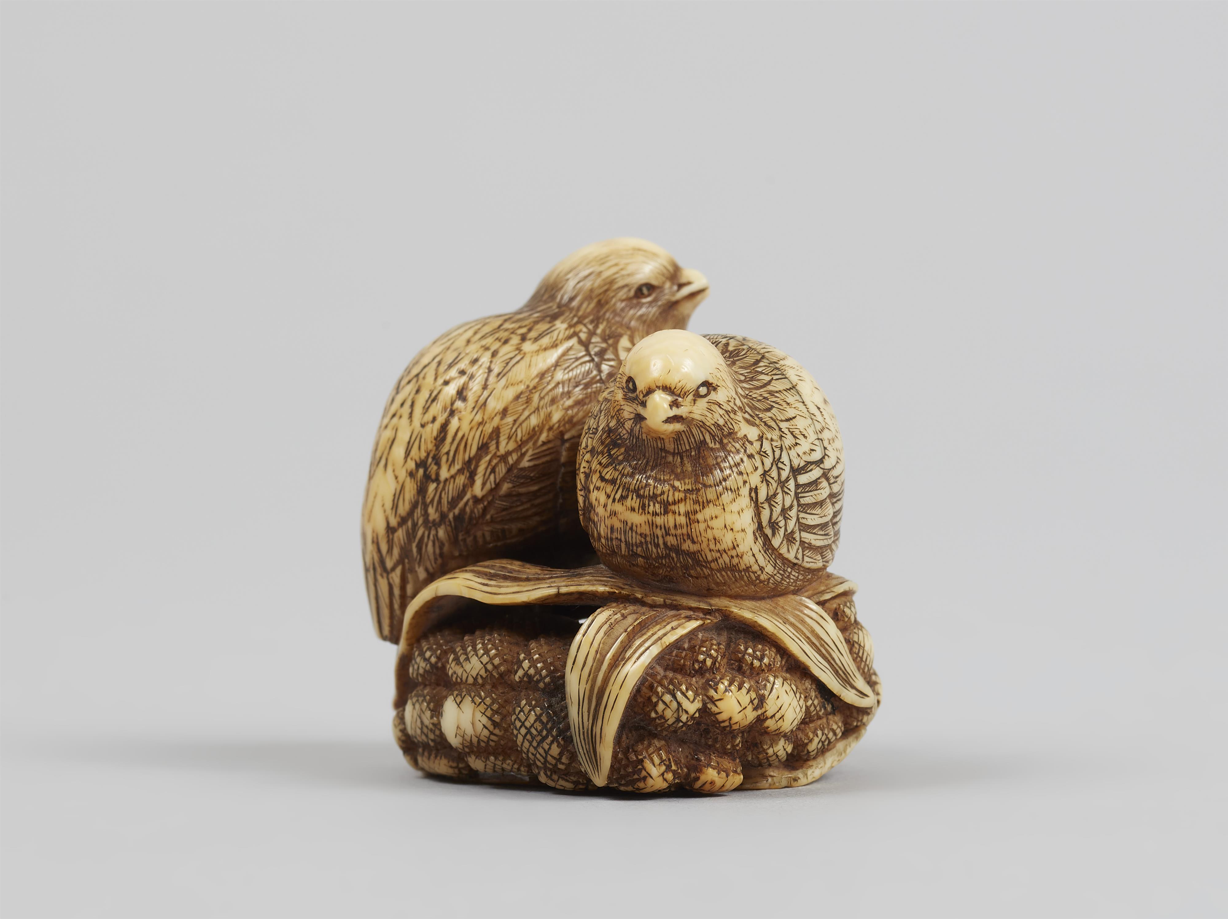 An ivory netsuke of two quails on millet. Early 19th century - image-3