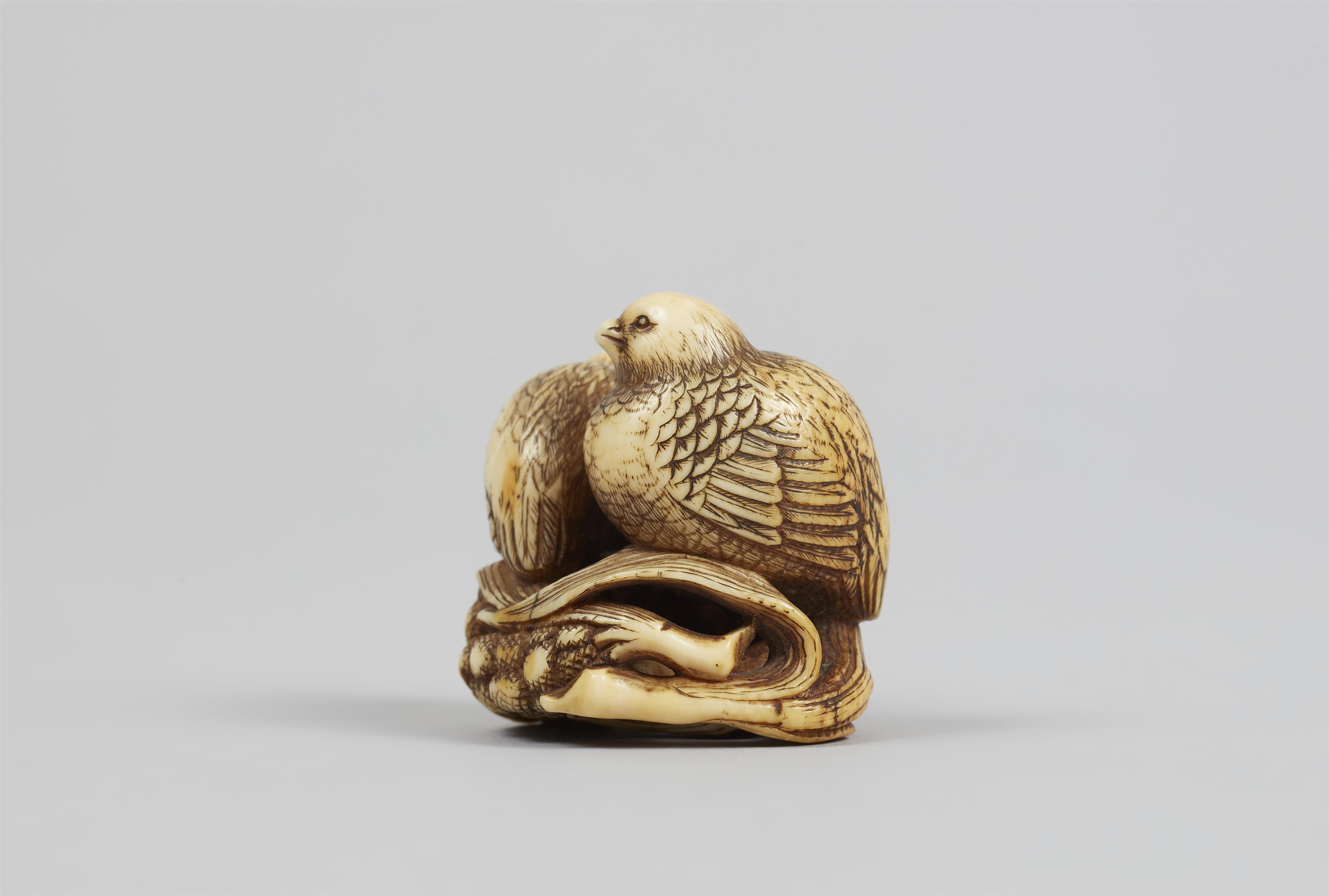 Netsuke zweier Wachteln auf Hirse. Elfenbein. Frühes 19. Jh. - image-5