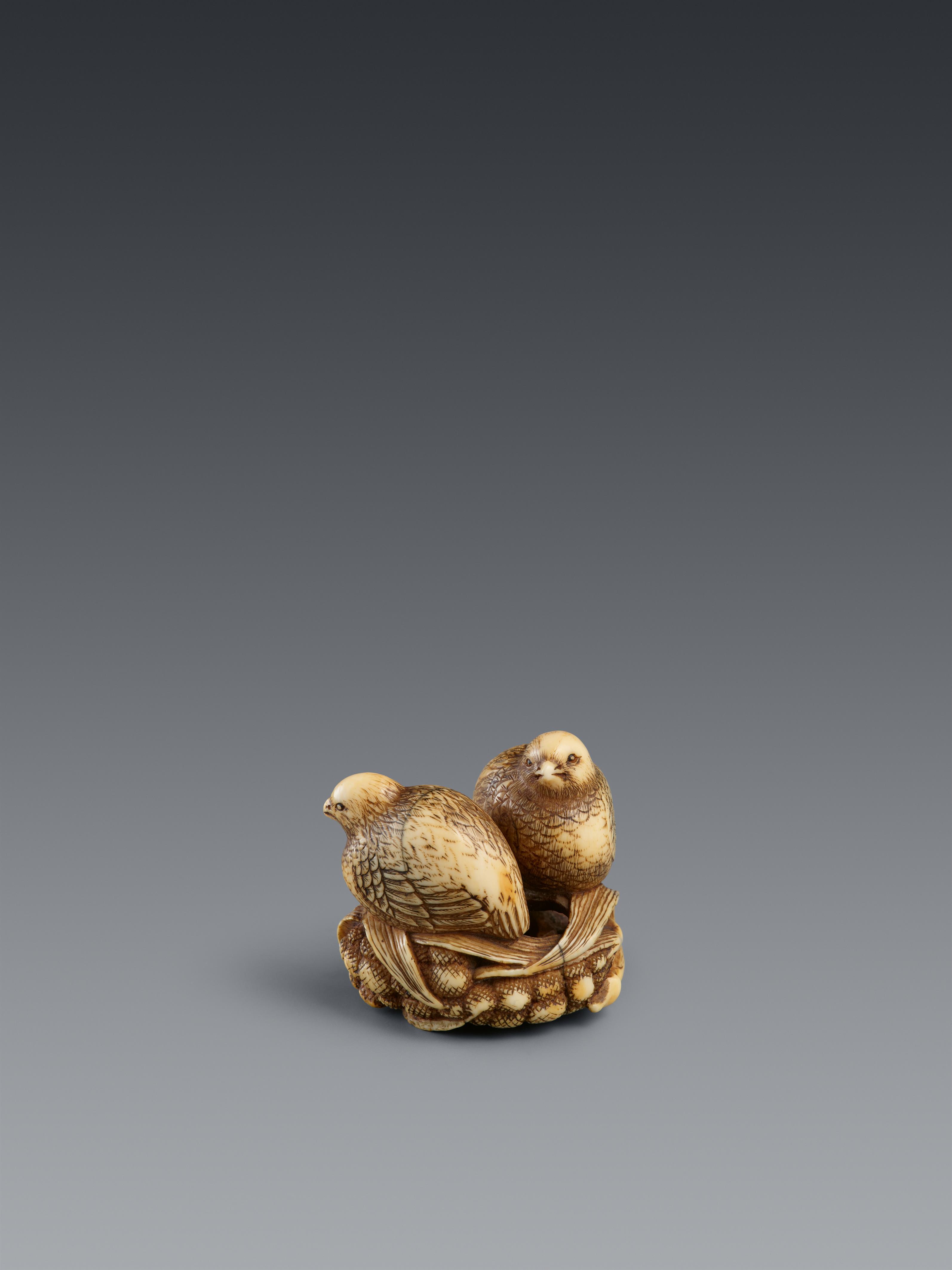 An ivory netsuke of two quails on millet. Early 19th century - image-1