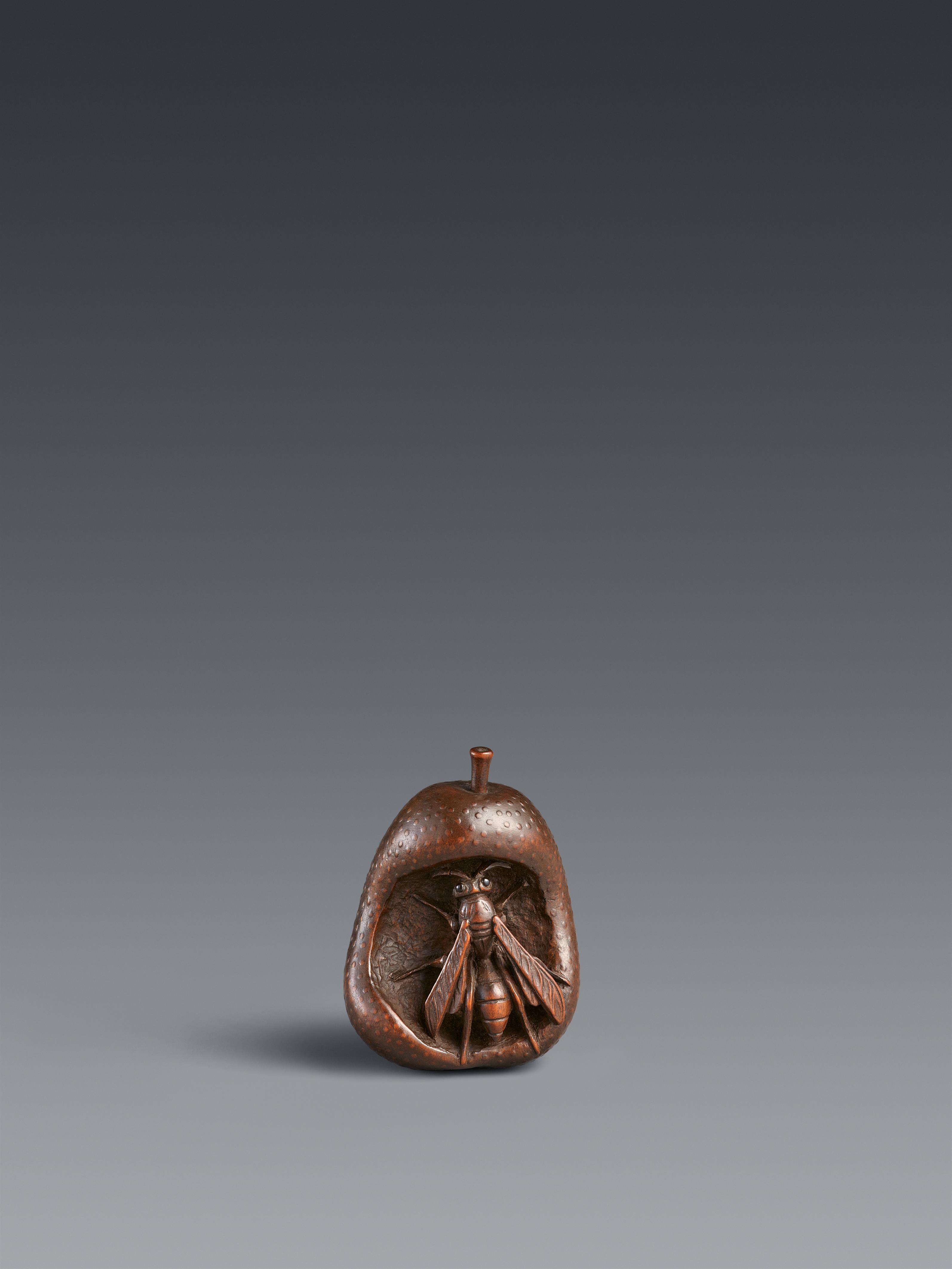 Netsuke einer Wespe in verrottender Birne. Buchsbaum. Spätes 19. Jh. - image-1