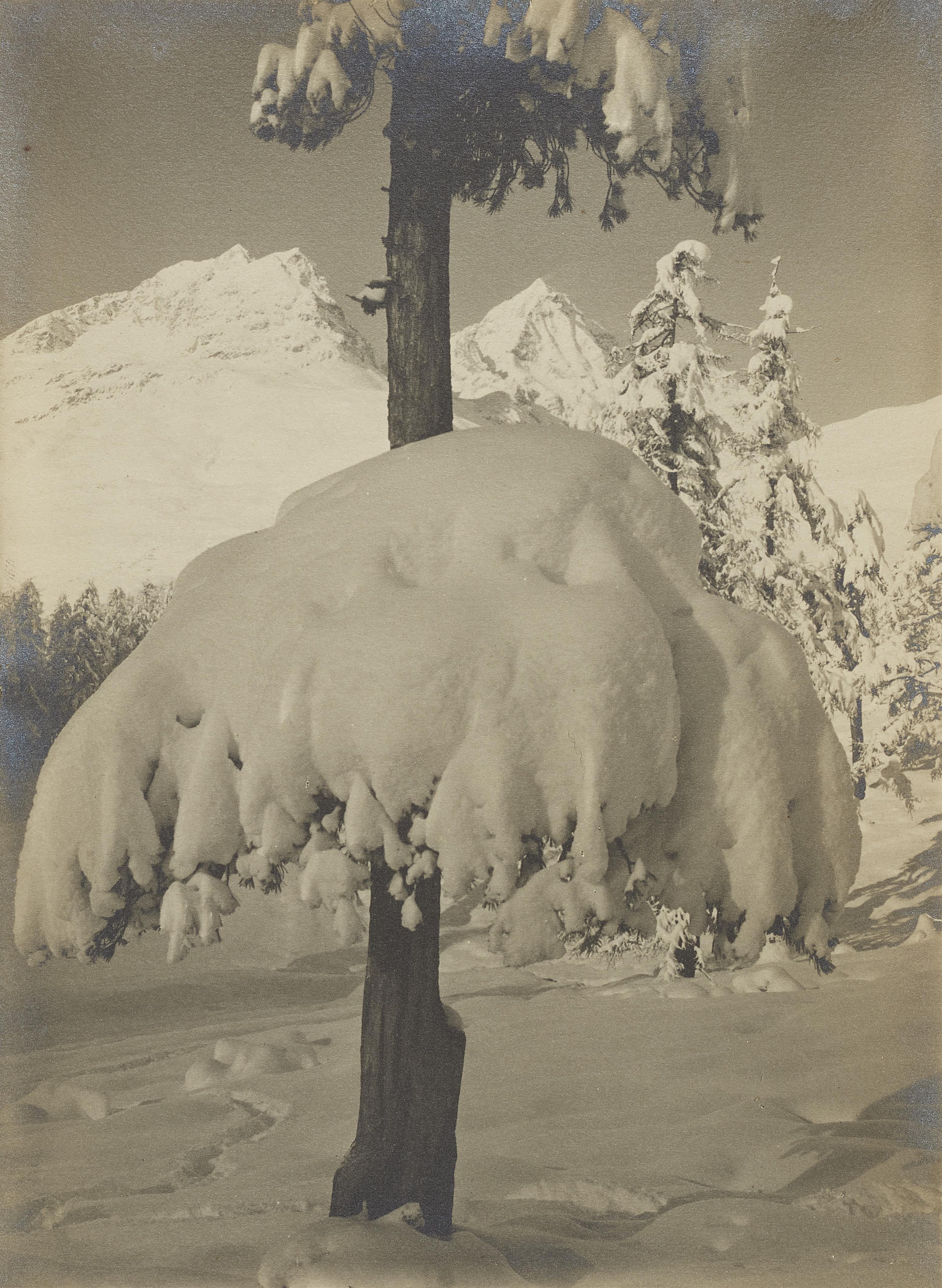 Albert Steiner - Winter bei Suvretta, St. Moritz - image-1