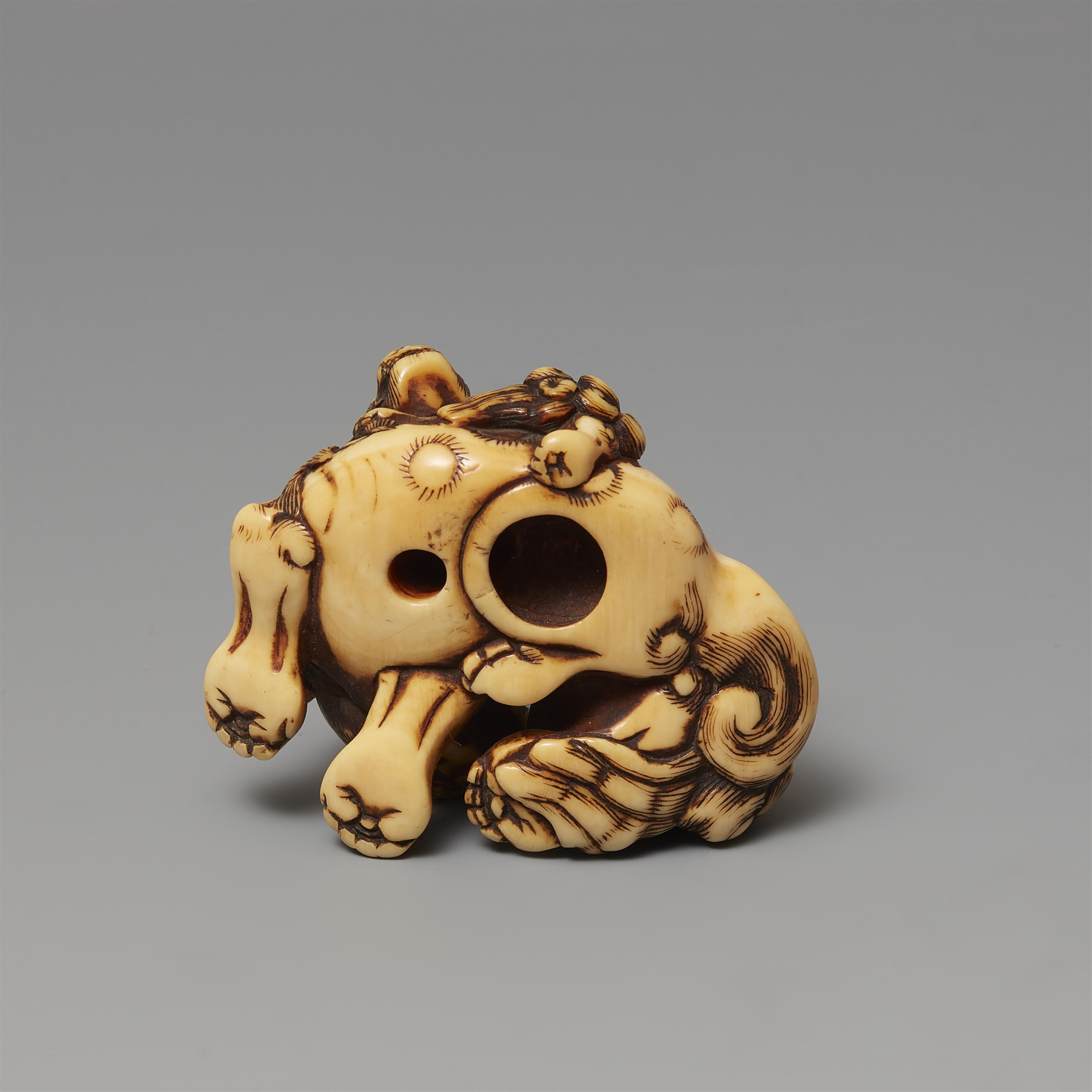 An ivory netsuke of two shishi. Late 18th century - image-5