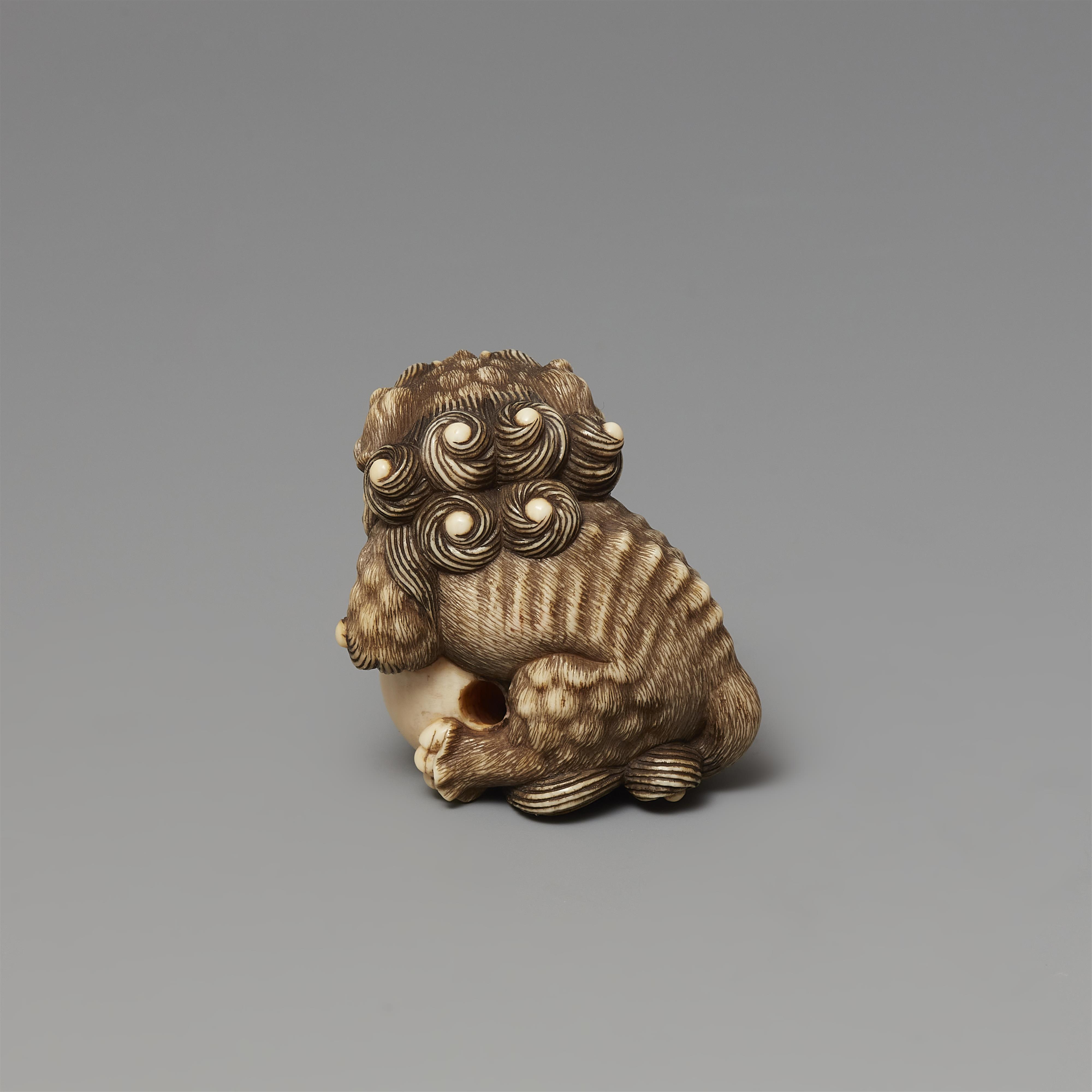 An ivory netsuke of a shishi with a ball. First half 19th century - image-3