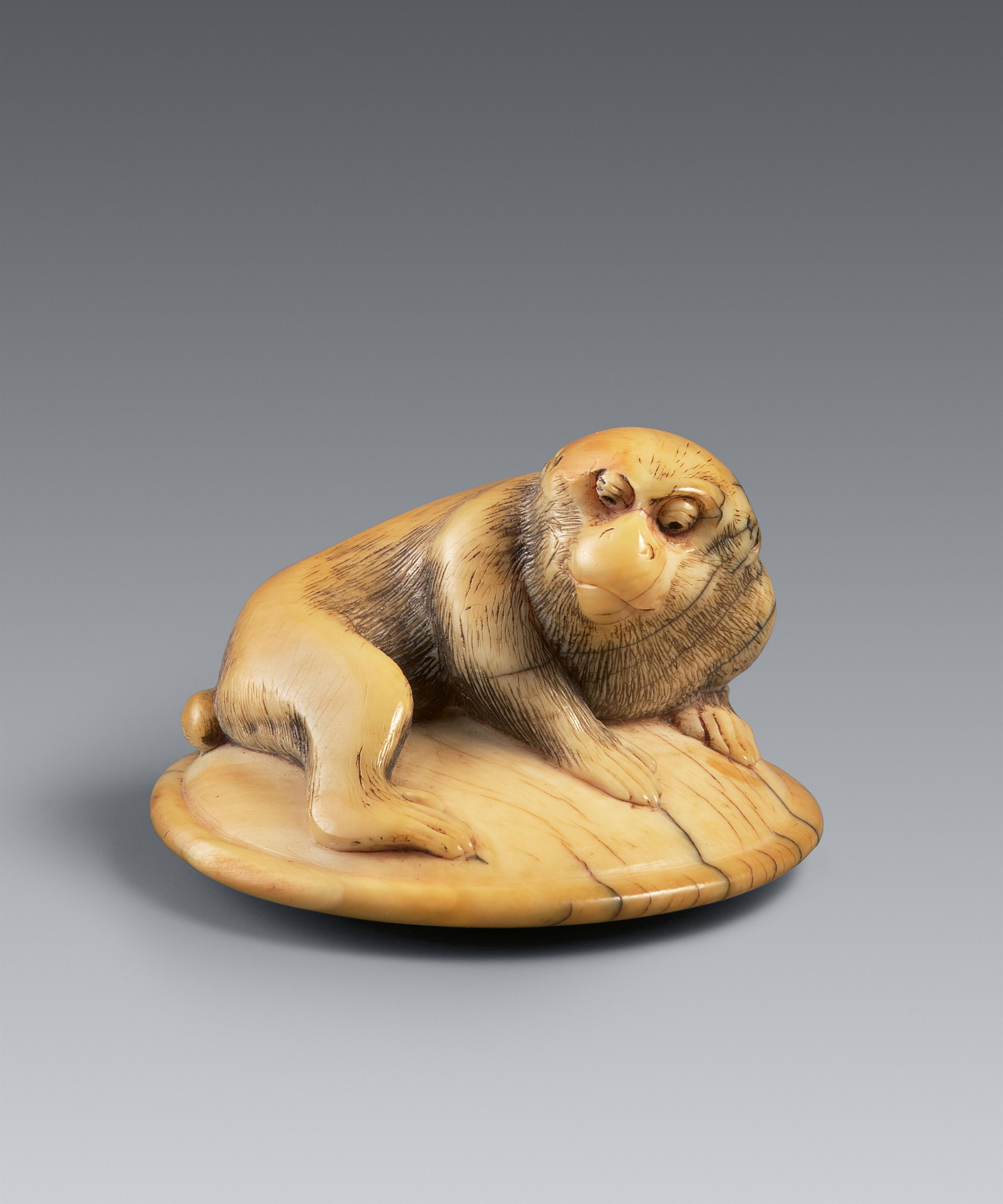 Netsuke eines Affens auf einem Kissen (zabuton). Elfenbein. 18. Jh. - image-2