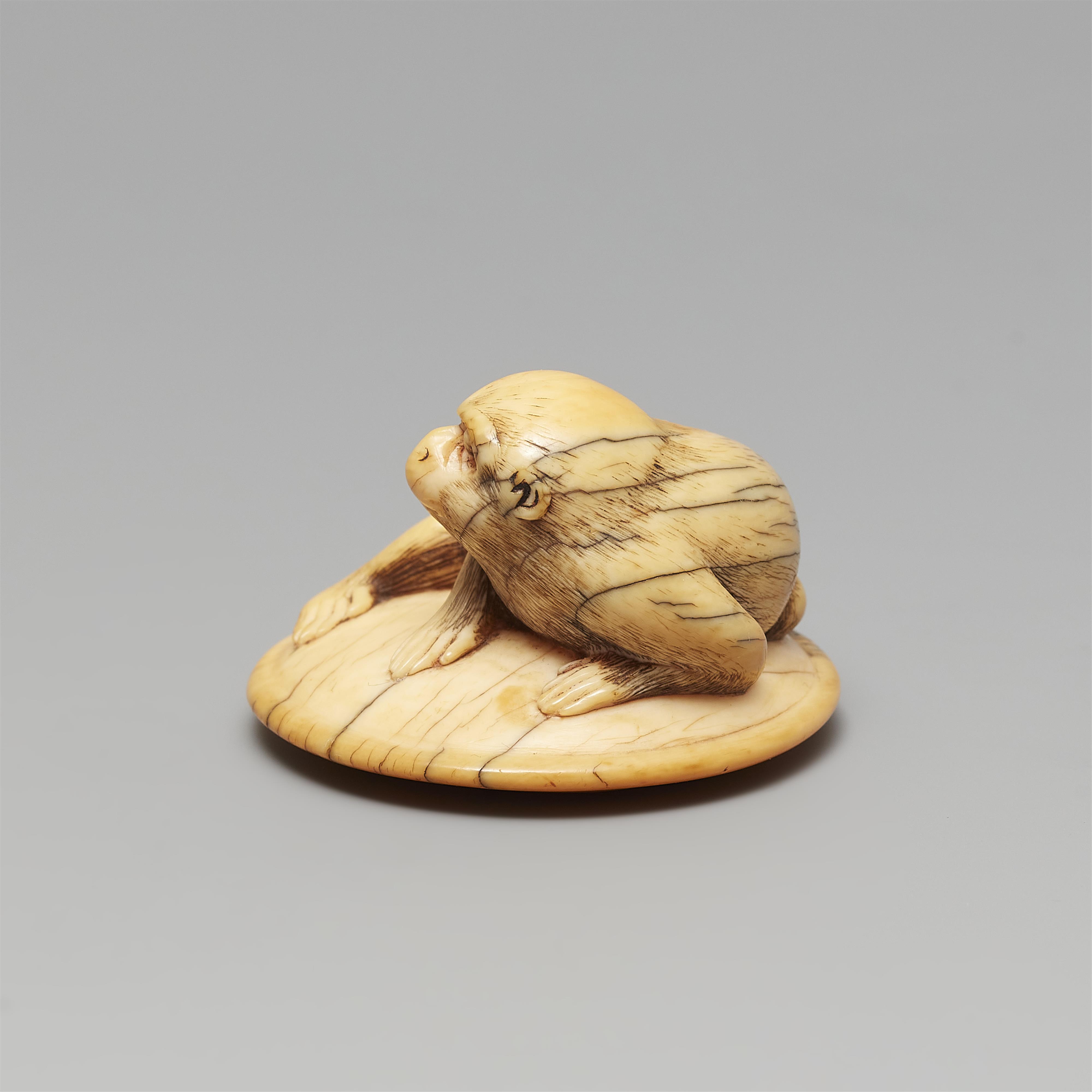 Netsuke eines Affens auf einem Kissen (zabuton). Elfenbein. 18. Jh. - image-3