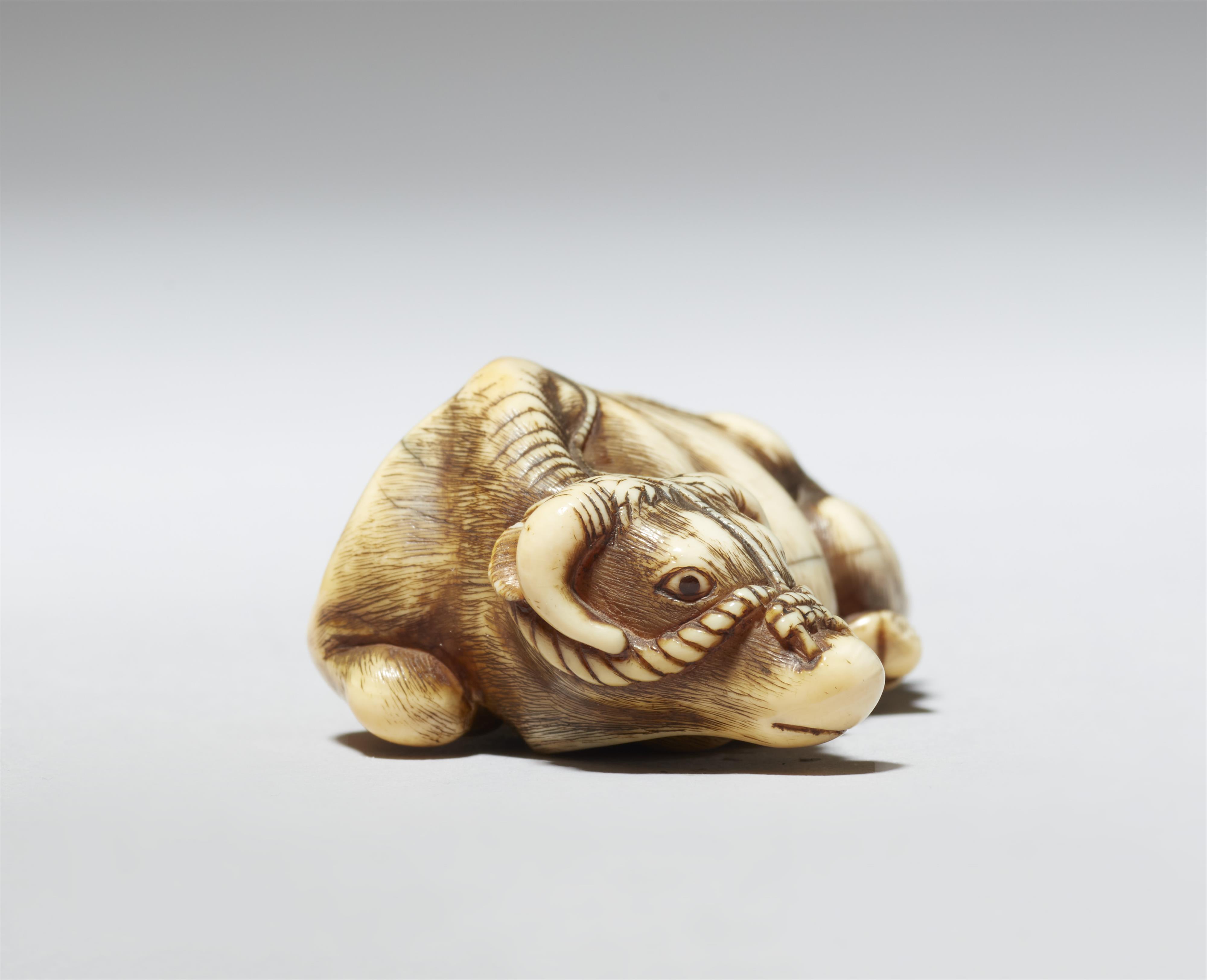 A Kyoto ivory netsuke of a reclining ox. Late 18th century - image-3