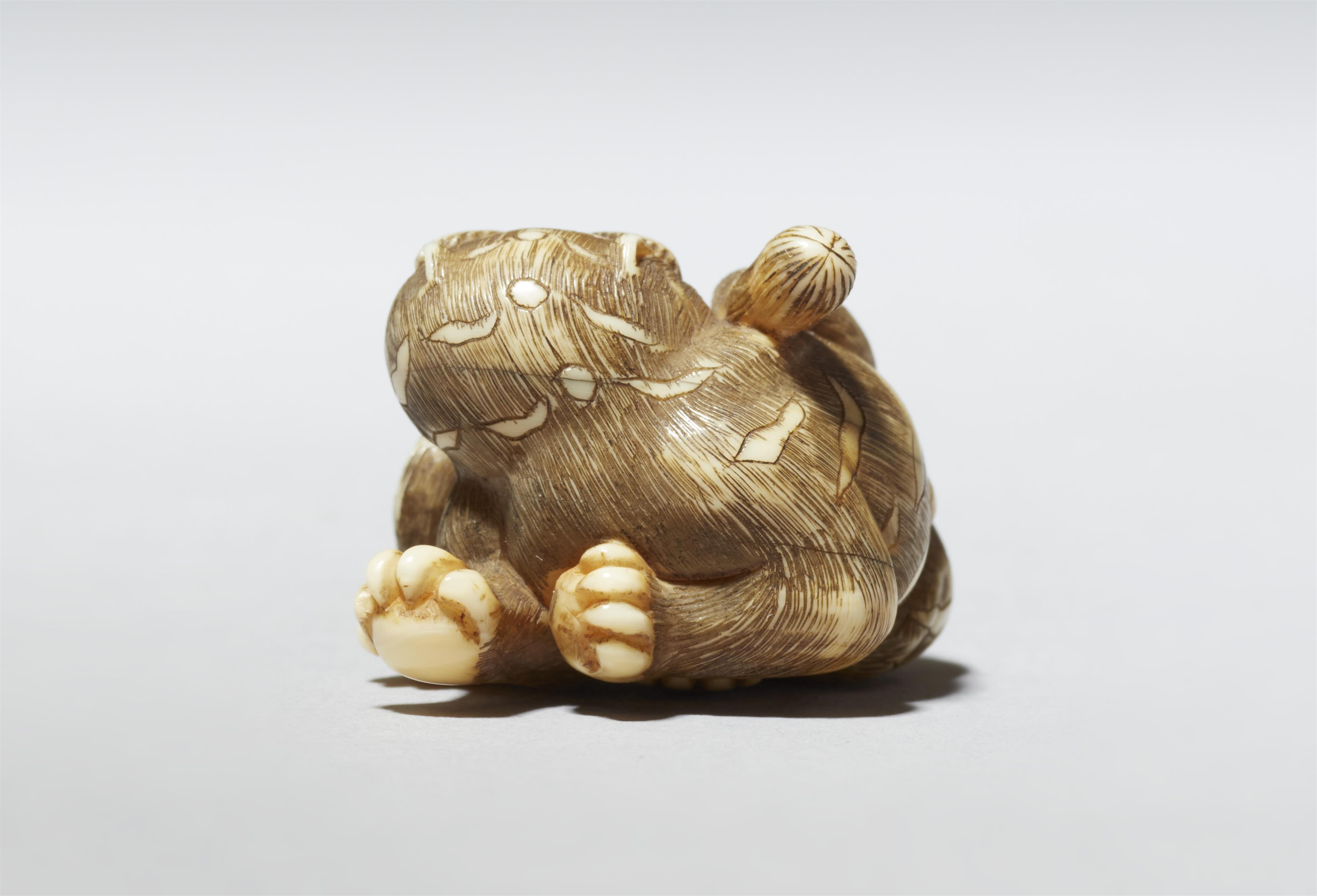 Netsuke eines kleinen Tigers. Elfenbein. Kyoto. 1. Hälfte 19. Jh. - image-4