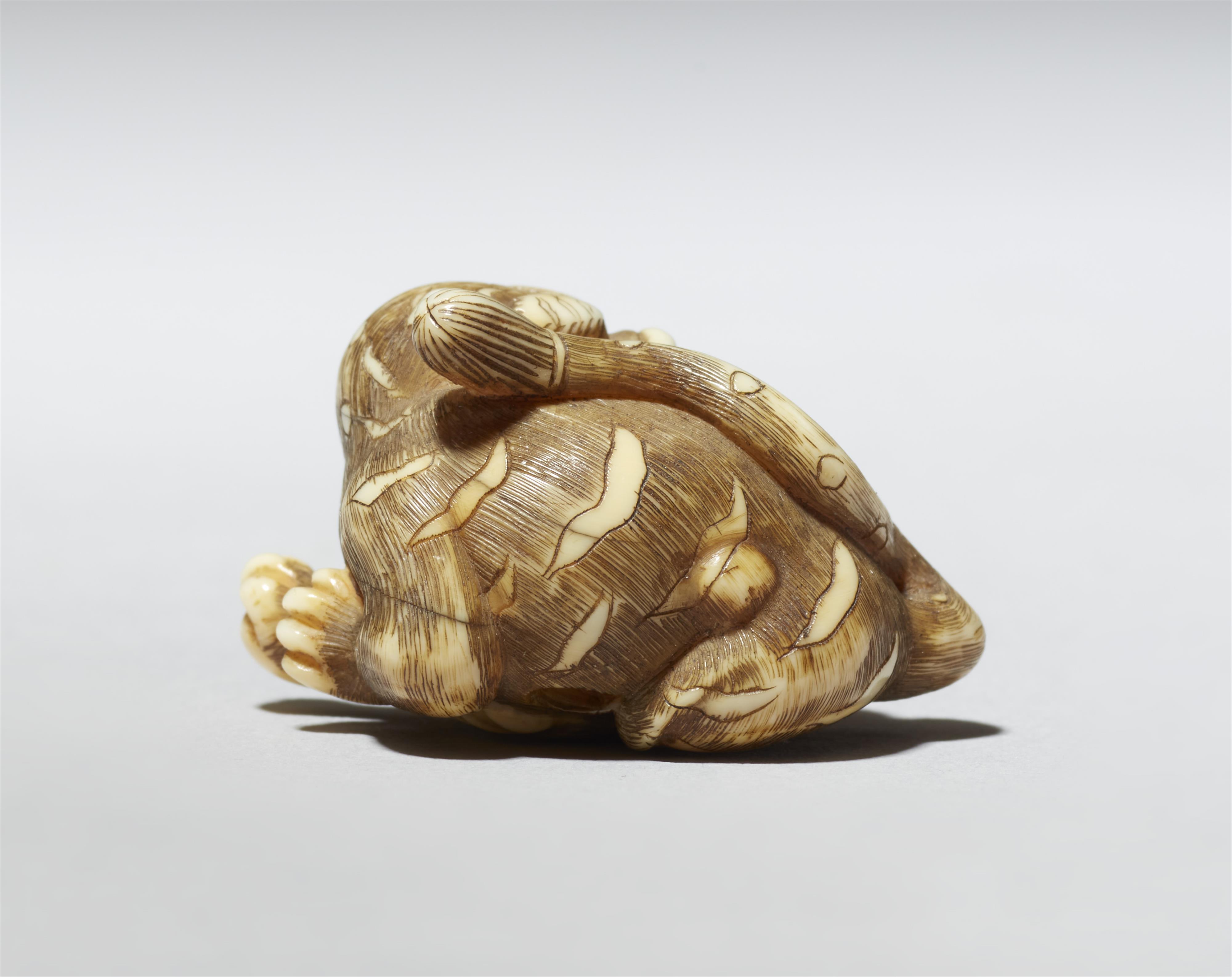 Netsuke eines kleinen Tigers. Elfenbein. Kyoto. 1. Hälfte 19. Jh. - image-5