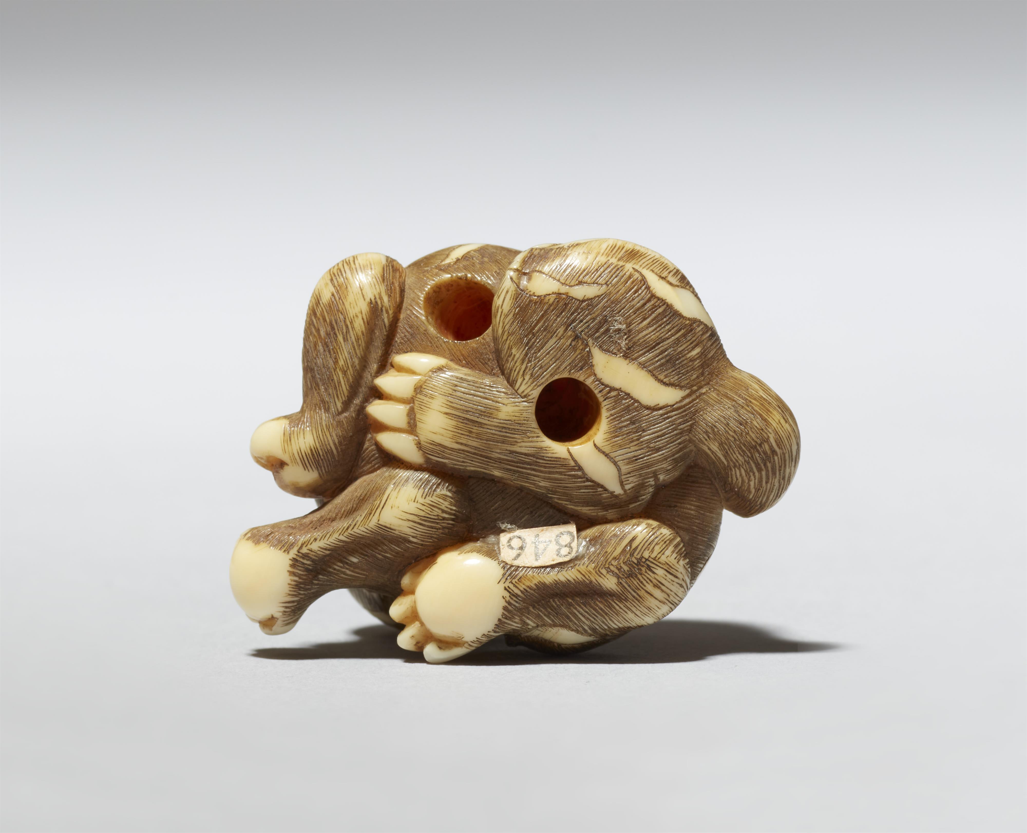 Netsuke eines kleinen Tigers. Elfenbein. Kyoto. 1. Hälfte 19. Jh. - image-7