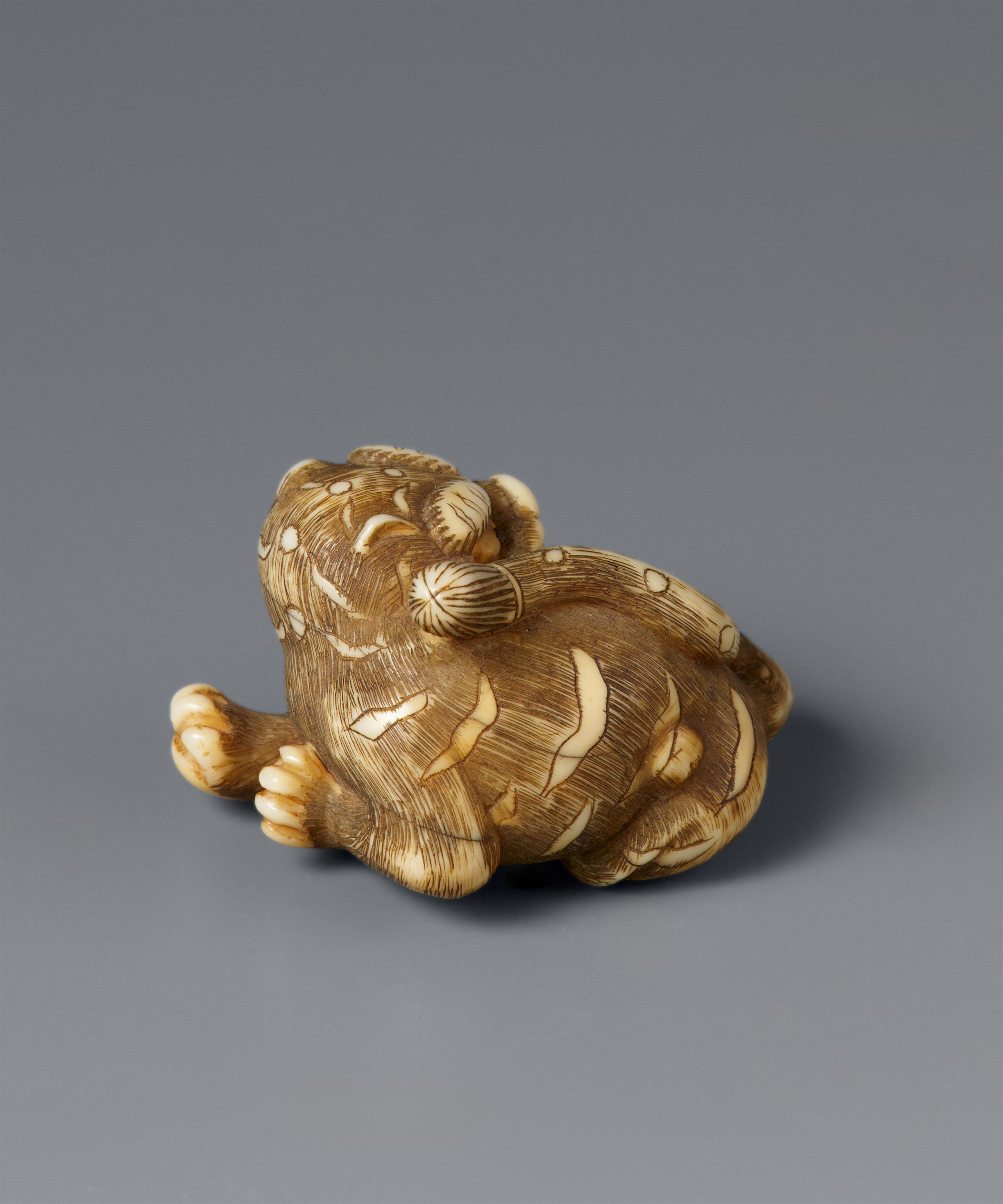 A small Kyoto ivory netsuke of a tiger. First half 19th century - image-8