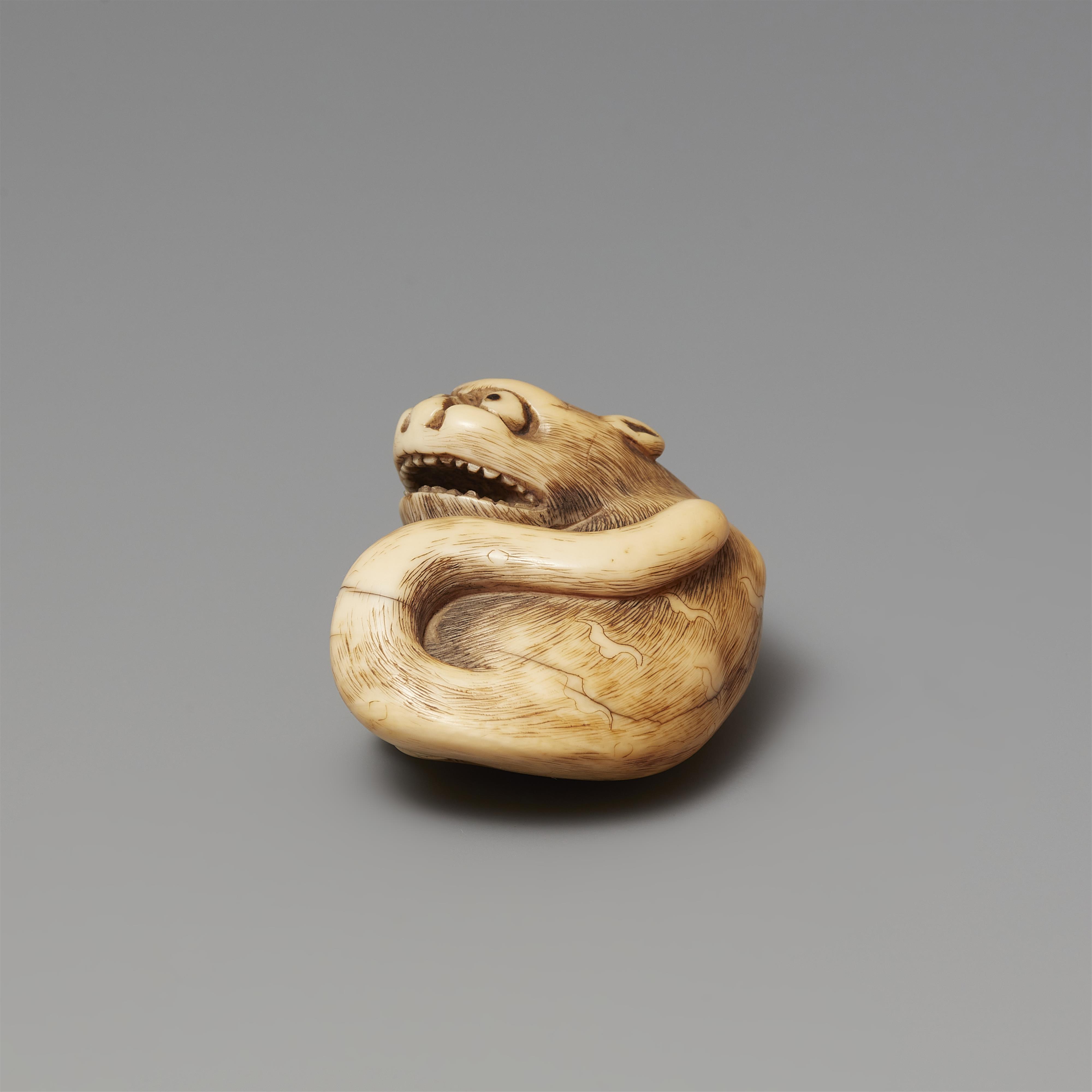 An ivory netsuke of a reclining tiger. Early 19th century - image-2