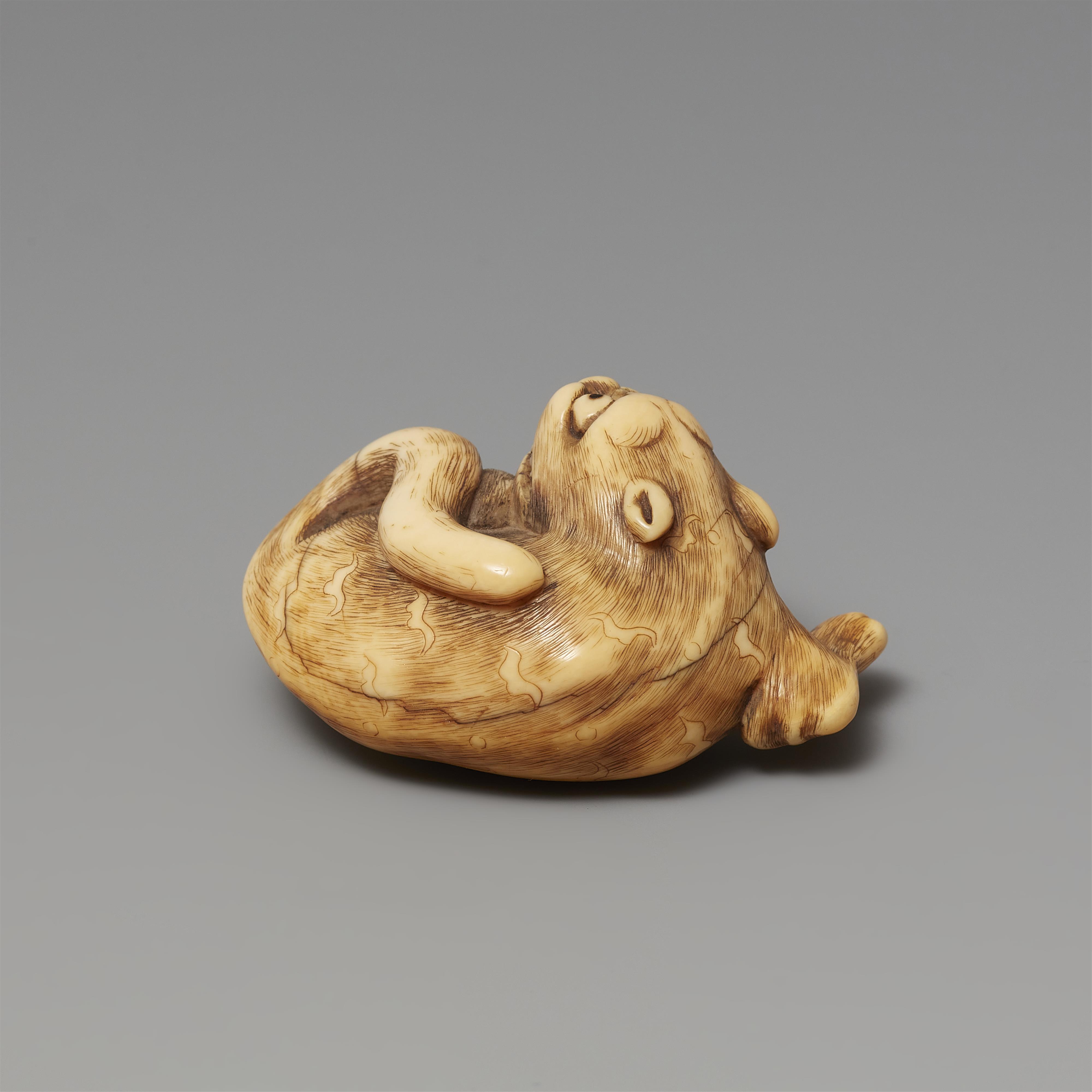 Netsuke eines liegenden Tigers. Elfenbein. Frühes 19. Jh. - image-3