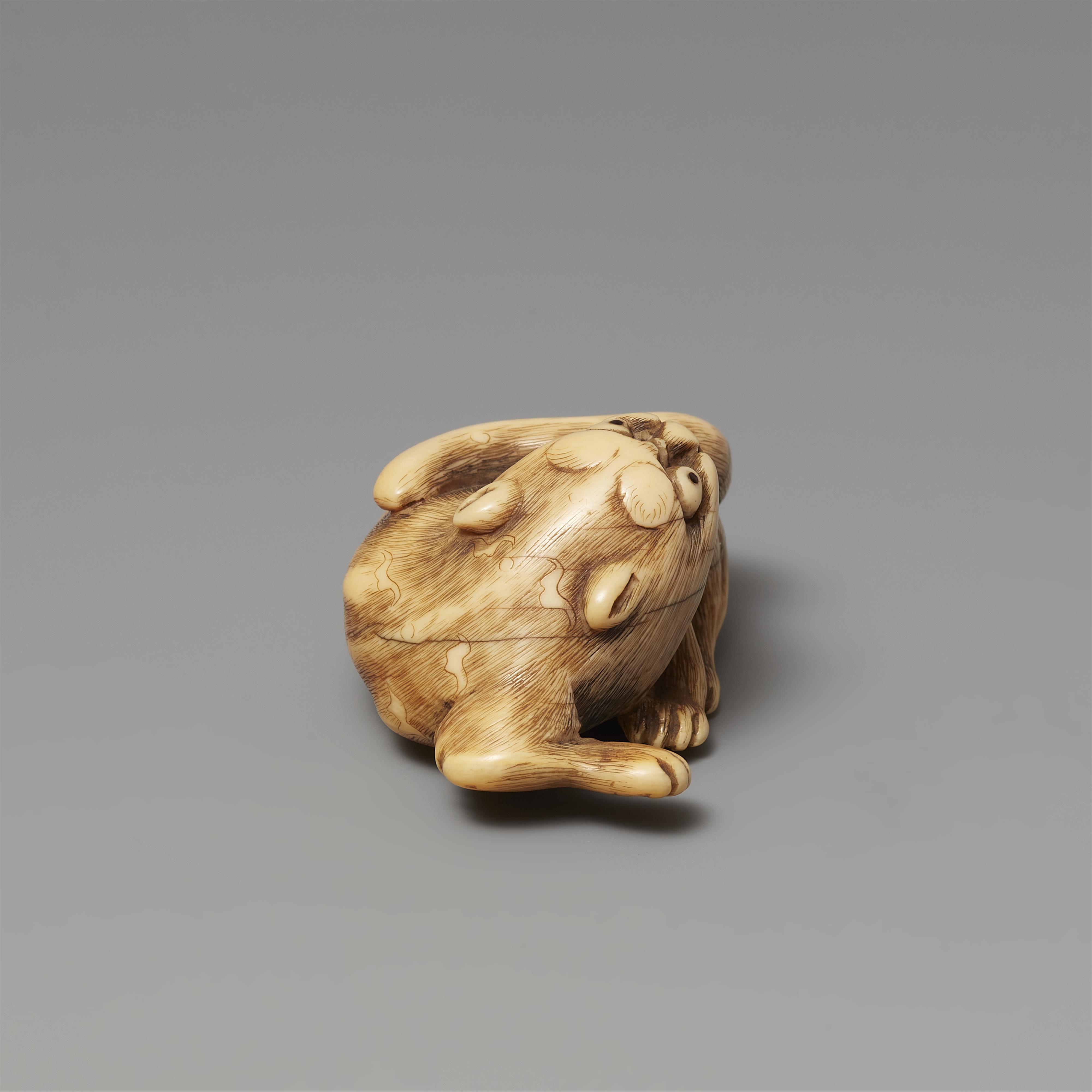 An ivory netsuke of a reclining tiger. Early 19th century - image-4