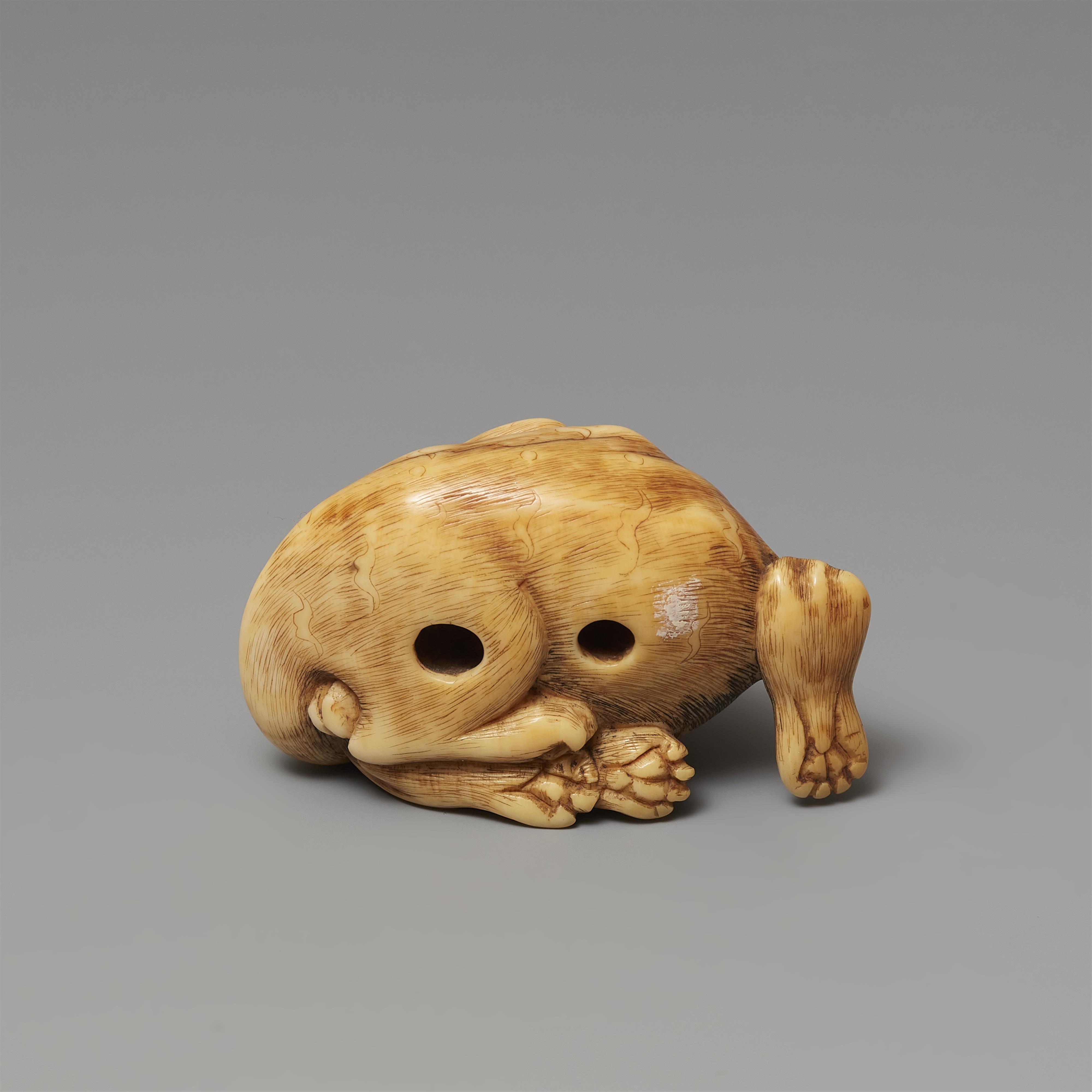 Netsuke eines liegenden Tigers. Elfenbein. Frühes 19. Jh. - image-5