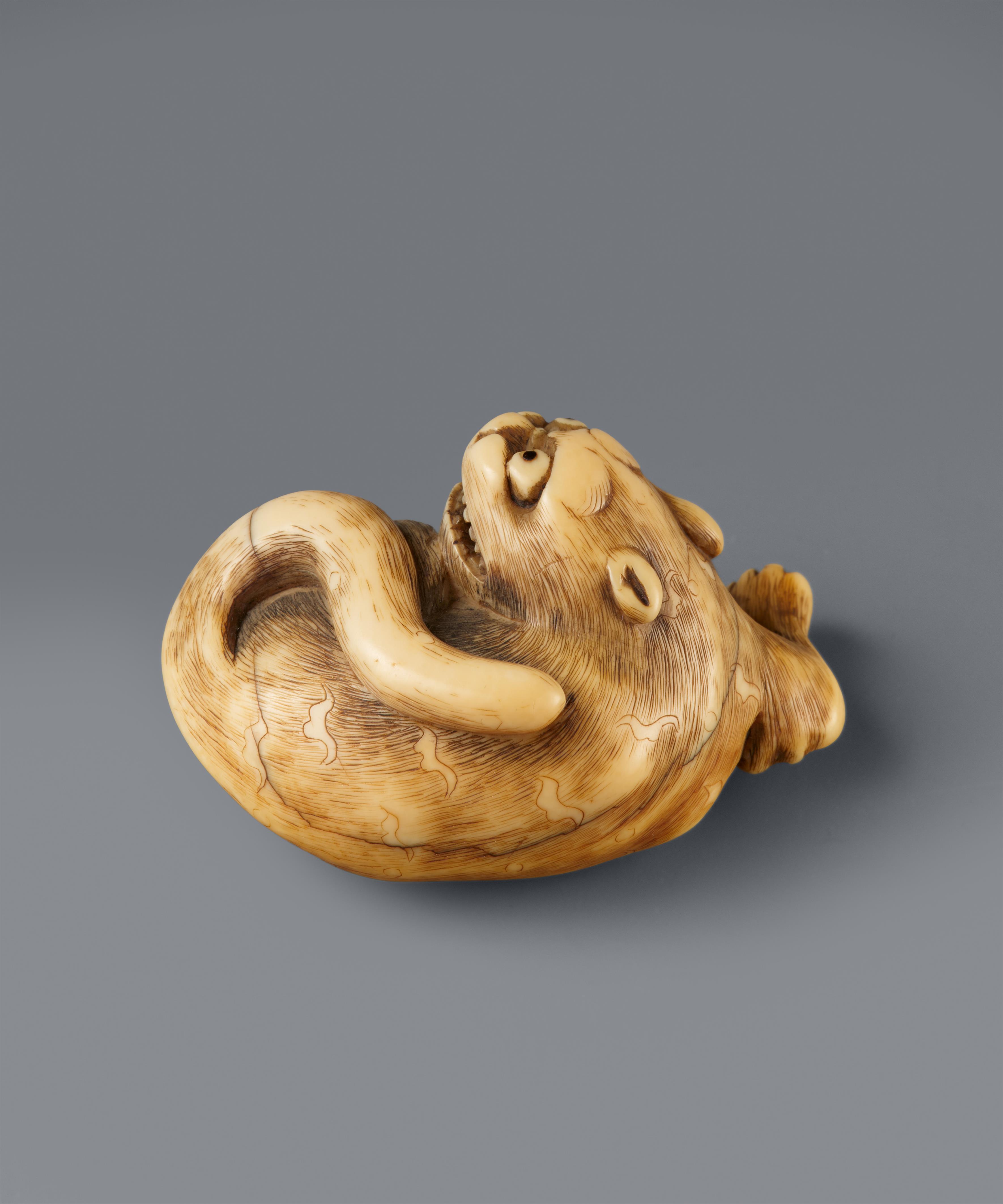 Netsuke eines liegenden Tigers. Elfenbein. Frühes 19. Jh. - image-6