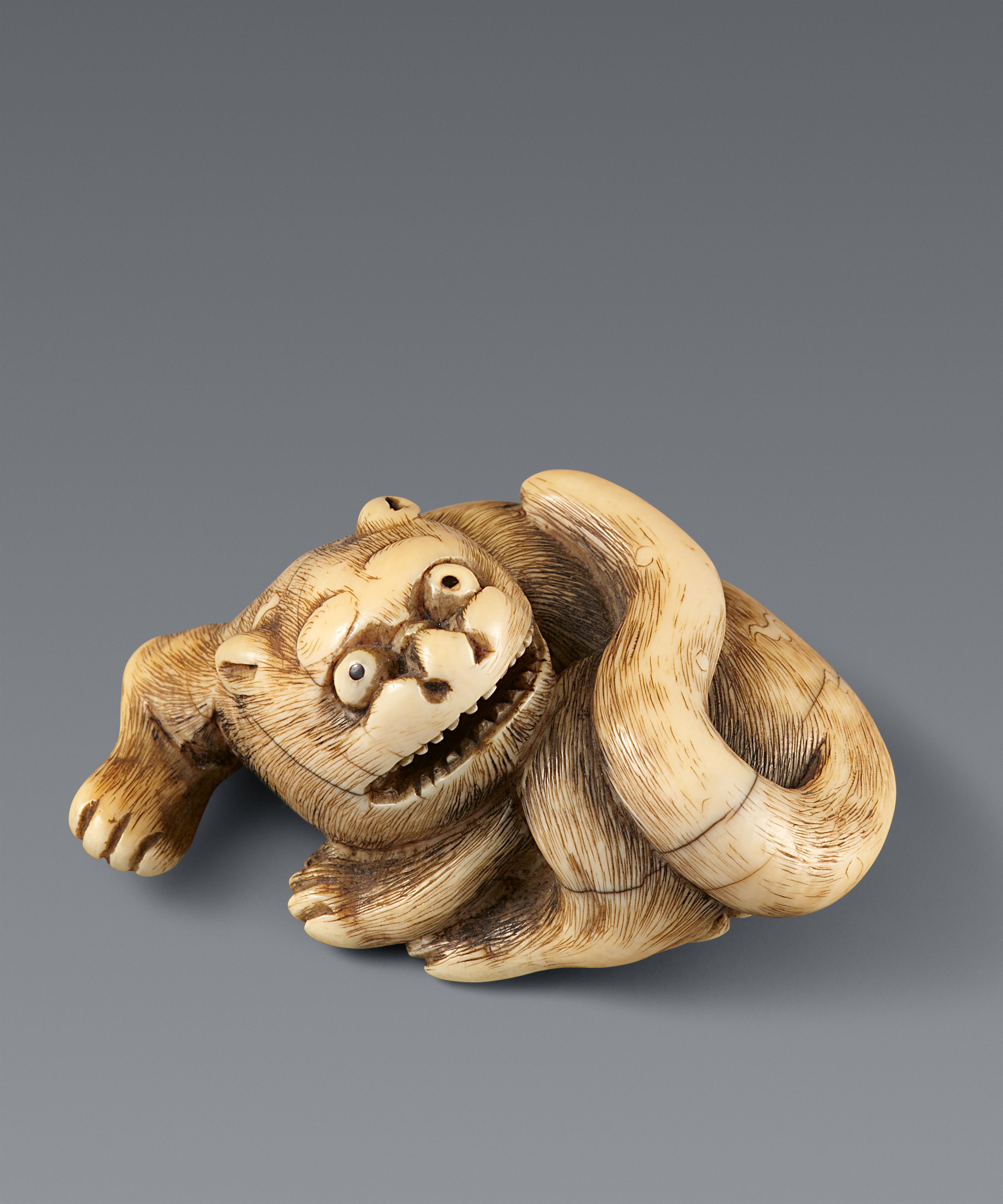 An ivory netsuke of a reclining tiger. Early 19th century - image-1