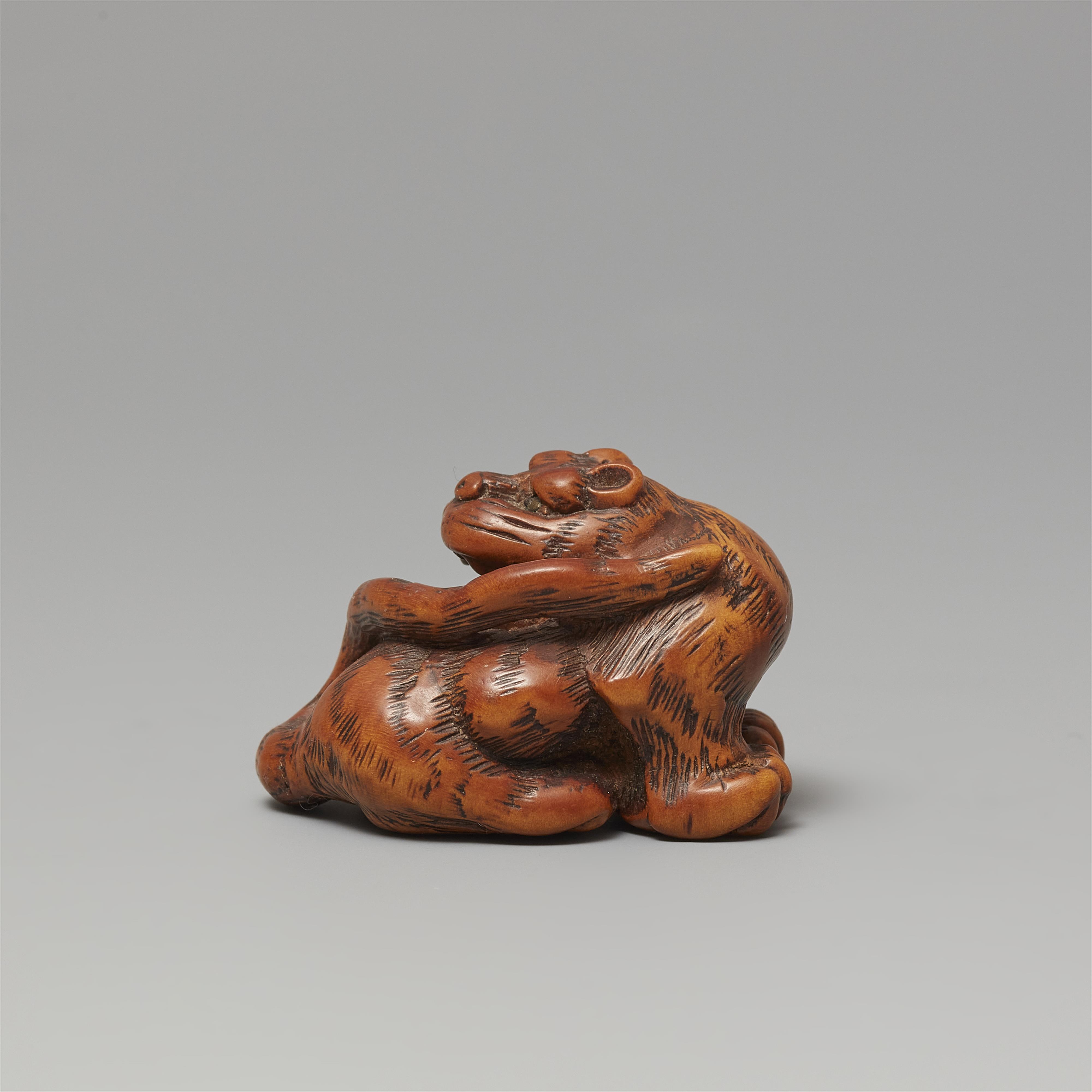 A Tsu boxwood netsuke of a howling tiger in the manner of Minko. Early 19th century - image-2