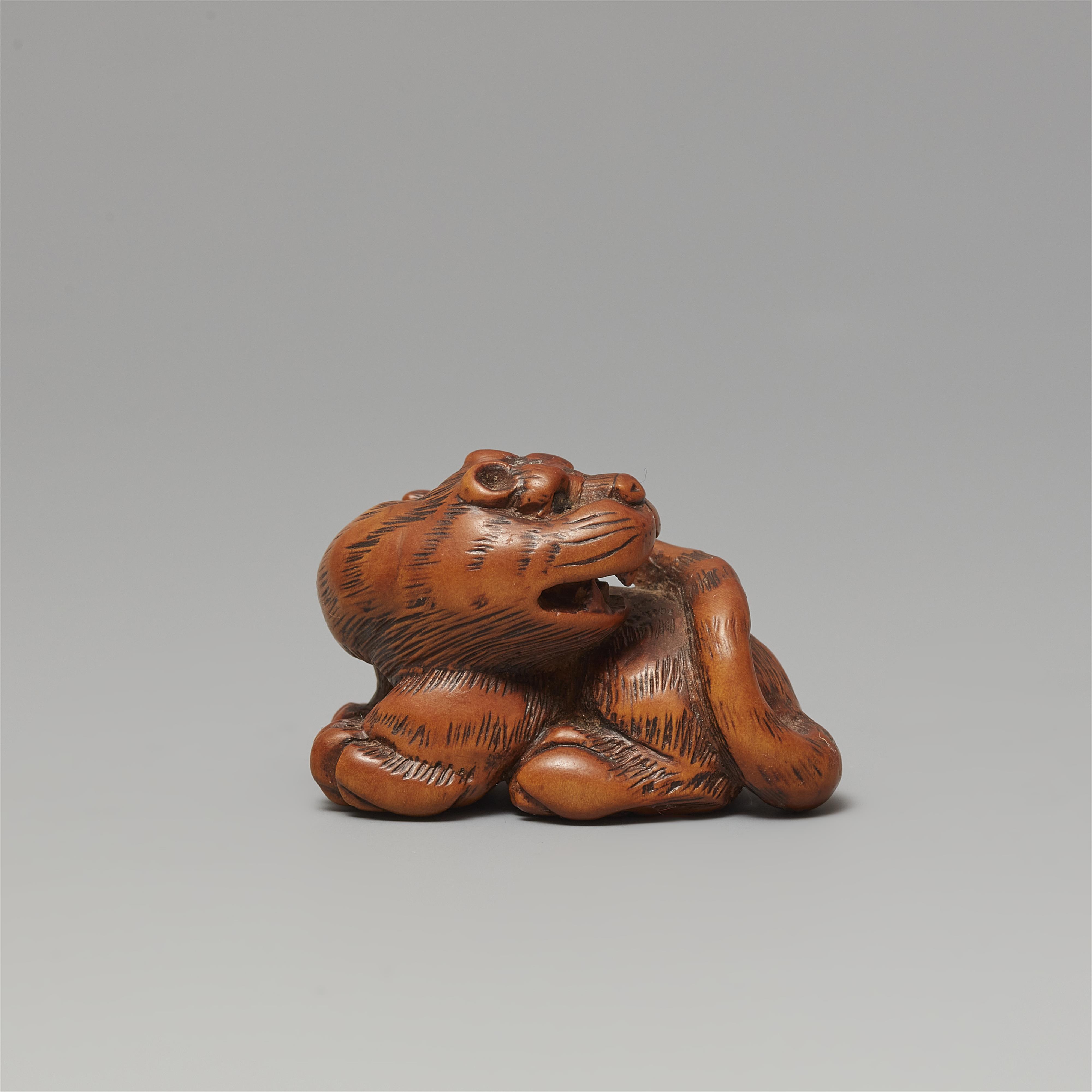 A Tsu boxwood netsuke of a howling tiger in the manner of Minko. Early 19th century - image-4