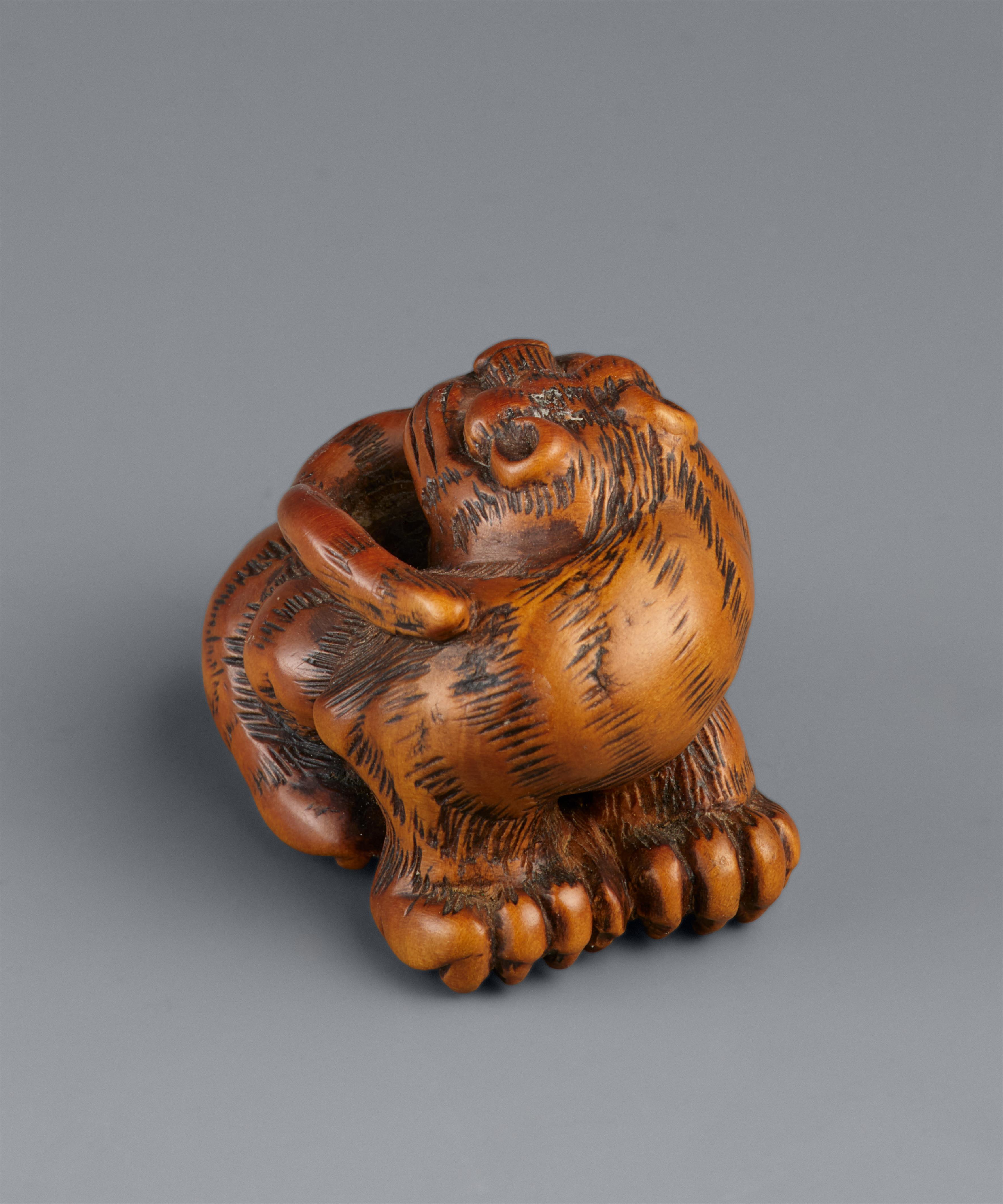 A Tsu boxwood netsuke of a howling tiger in the manner of Minko. Early 19th century - image-8