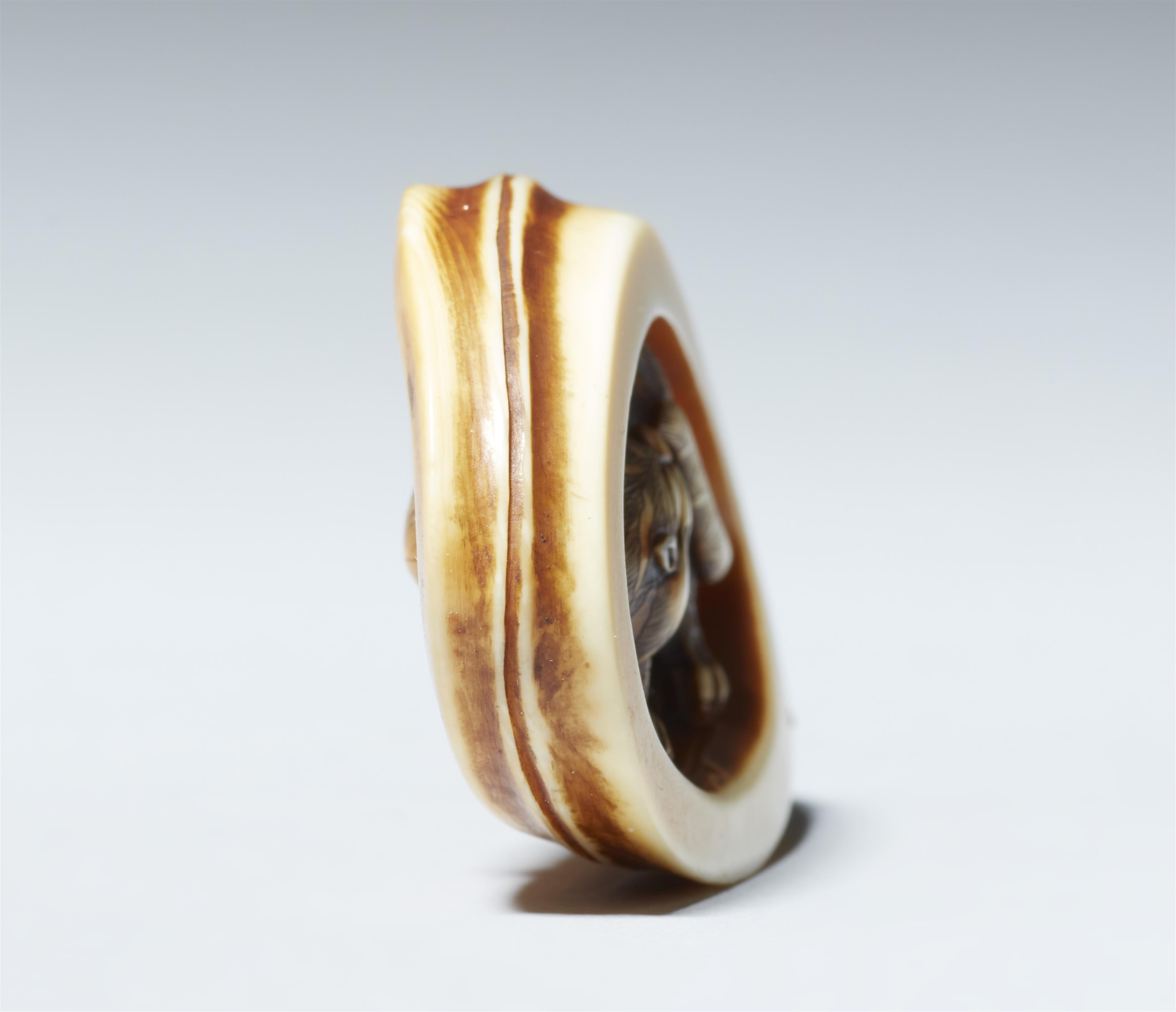 An Osaka partly stained ivory netsuke of tiger by Anraku. Around 1860 - image-4