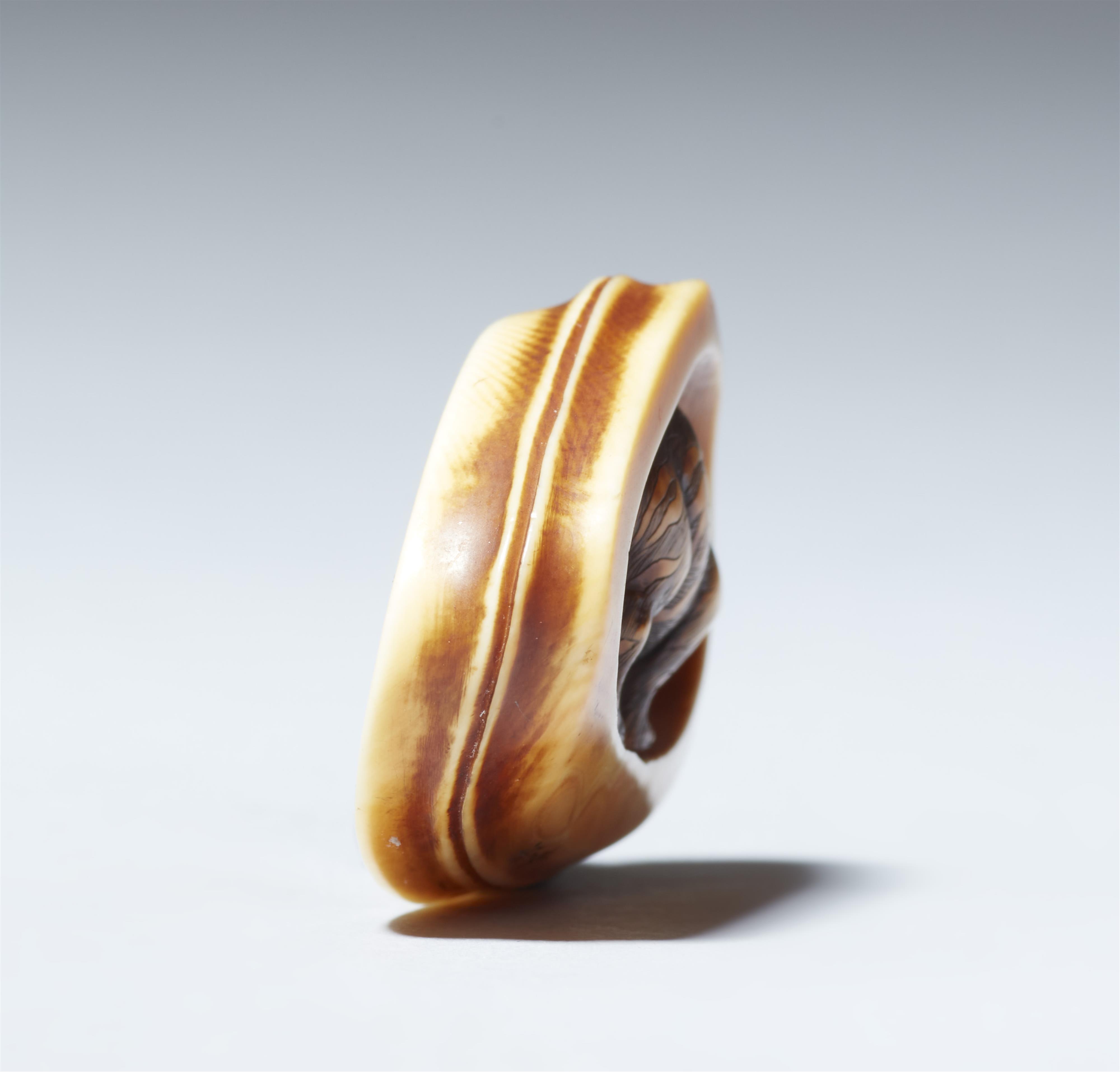 An Osaka partly stained ivory netsuke of tiger by Anraku. Around 1860 - image-5