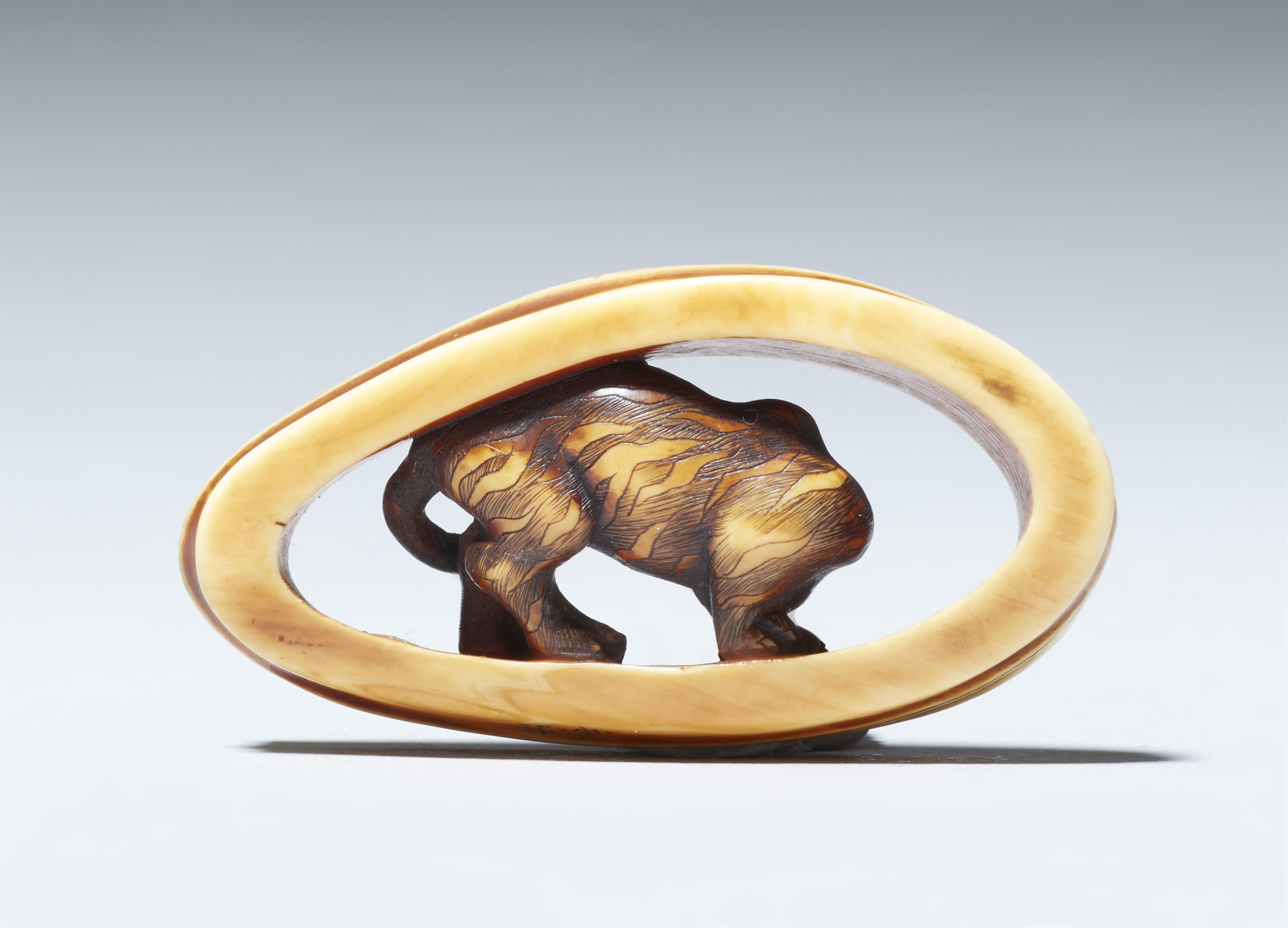 An Osaka partly stained ivory netsuke of tiger by Anraku. Around 1860 - image-6