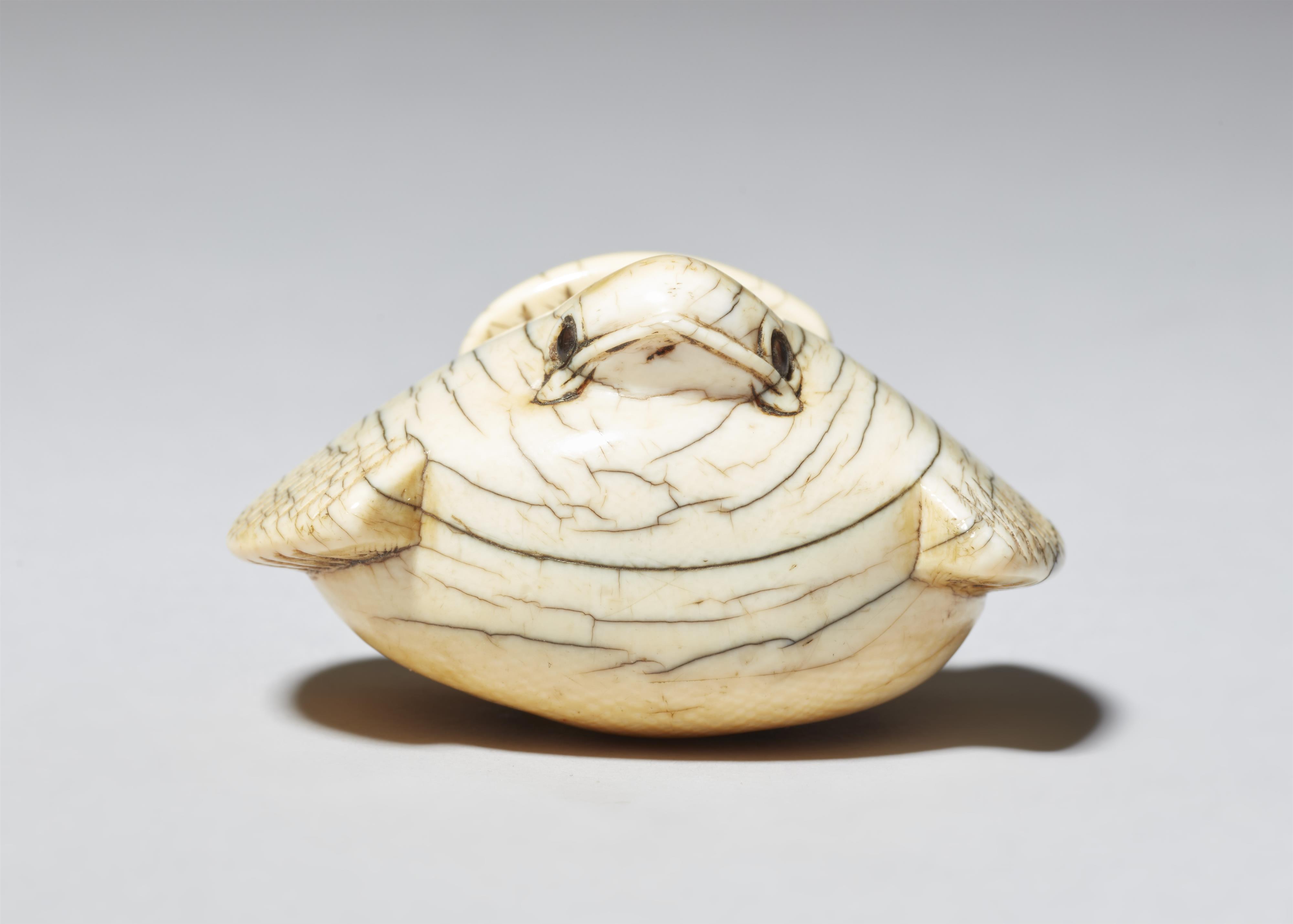 A very large ivory netsuke of a fukura suzume. Second half 18th century - image-2