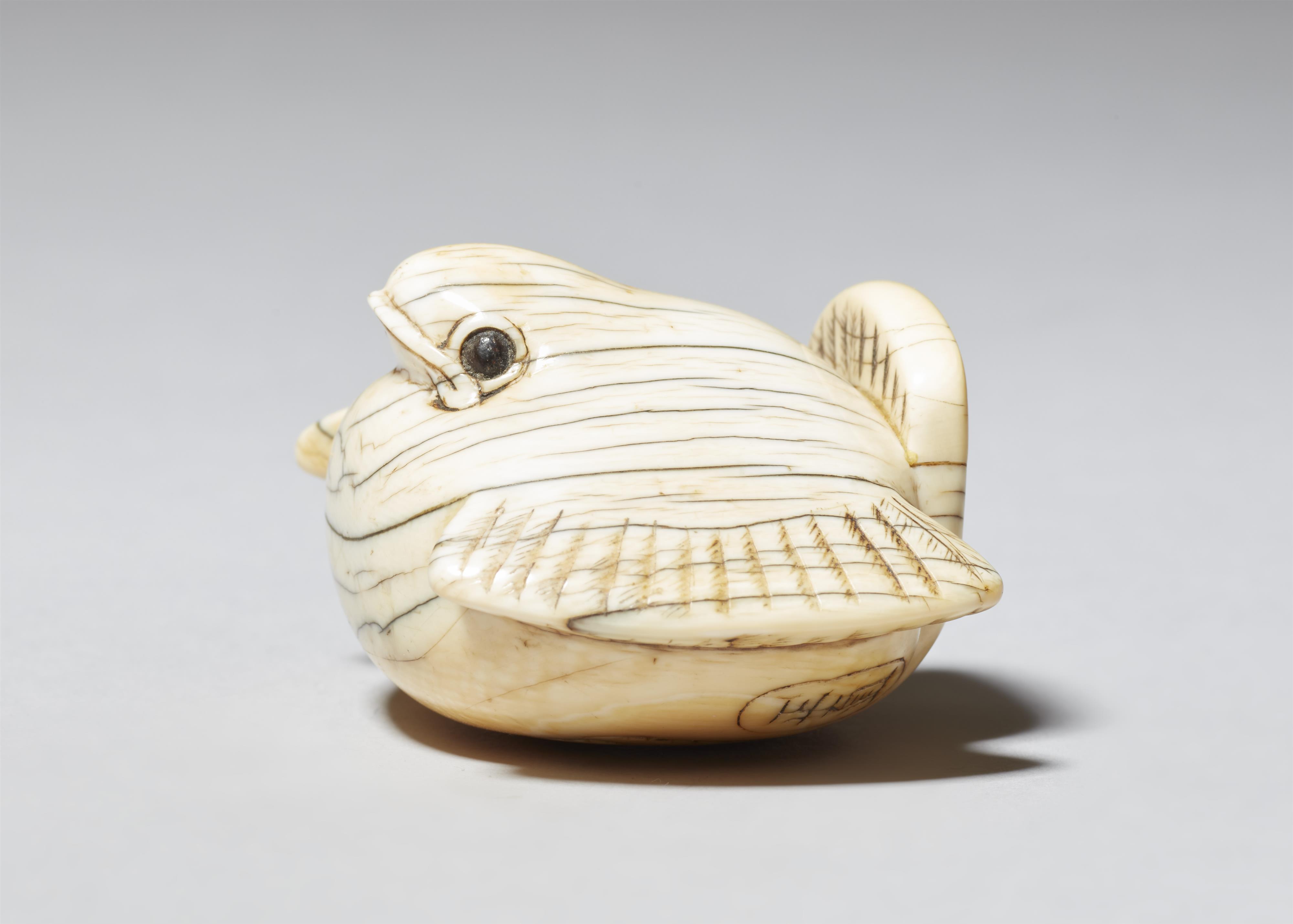 A very large ivory netsuke of a fukura suzume. Second half 18th century - image-3