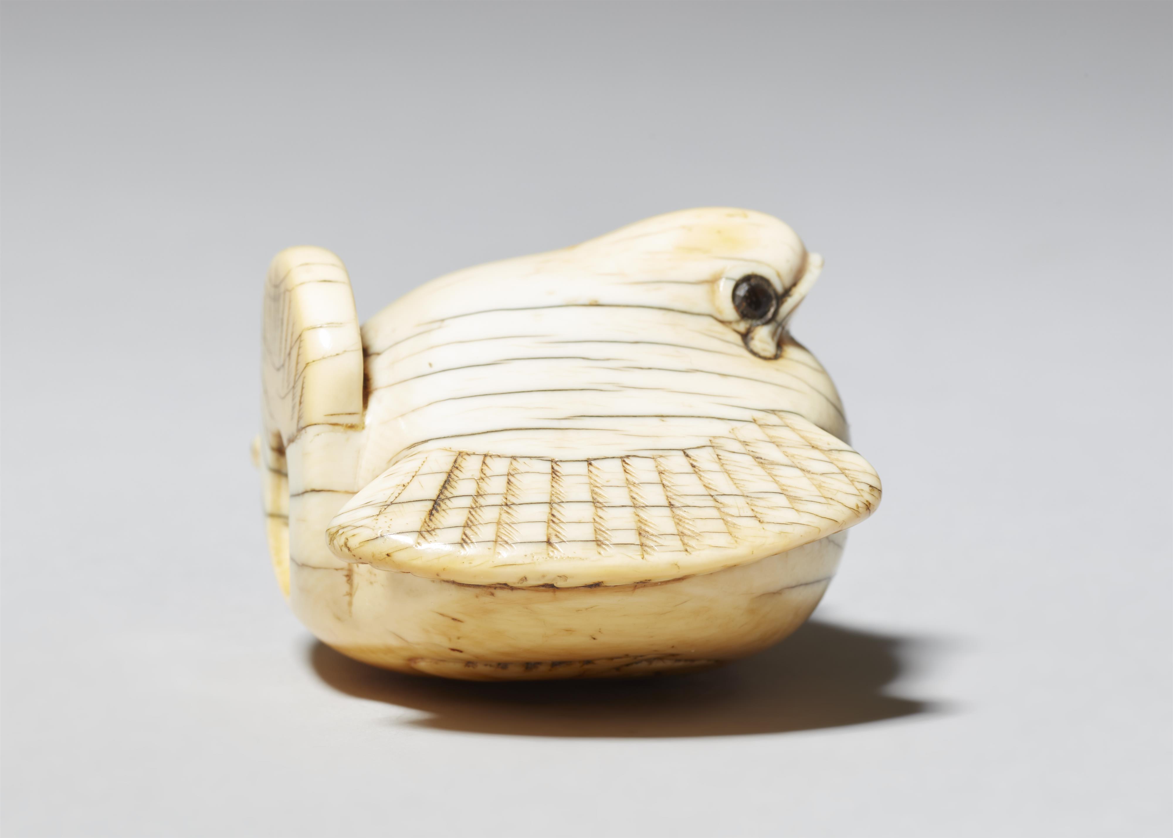 A very large ivory netsuke of a fukura suzume. Second half 18th century - image-5