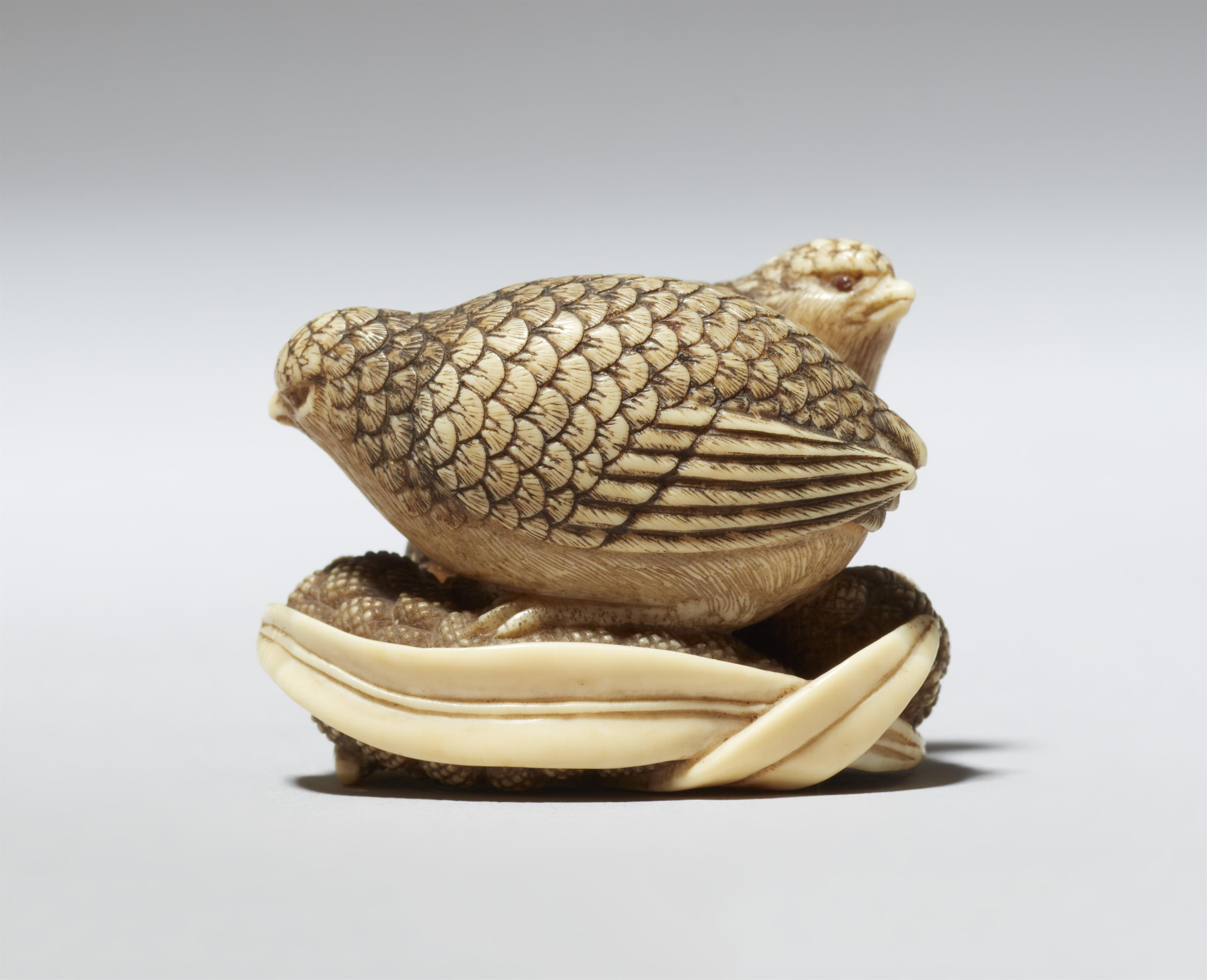 Netsuke zweier Wachteln auf Hirse. Elfenbein. Kyoto. Frühes 19. Jh. - image-2