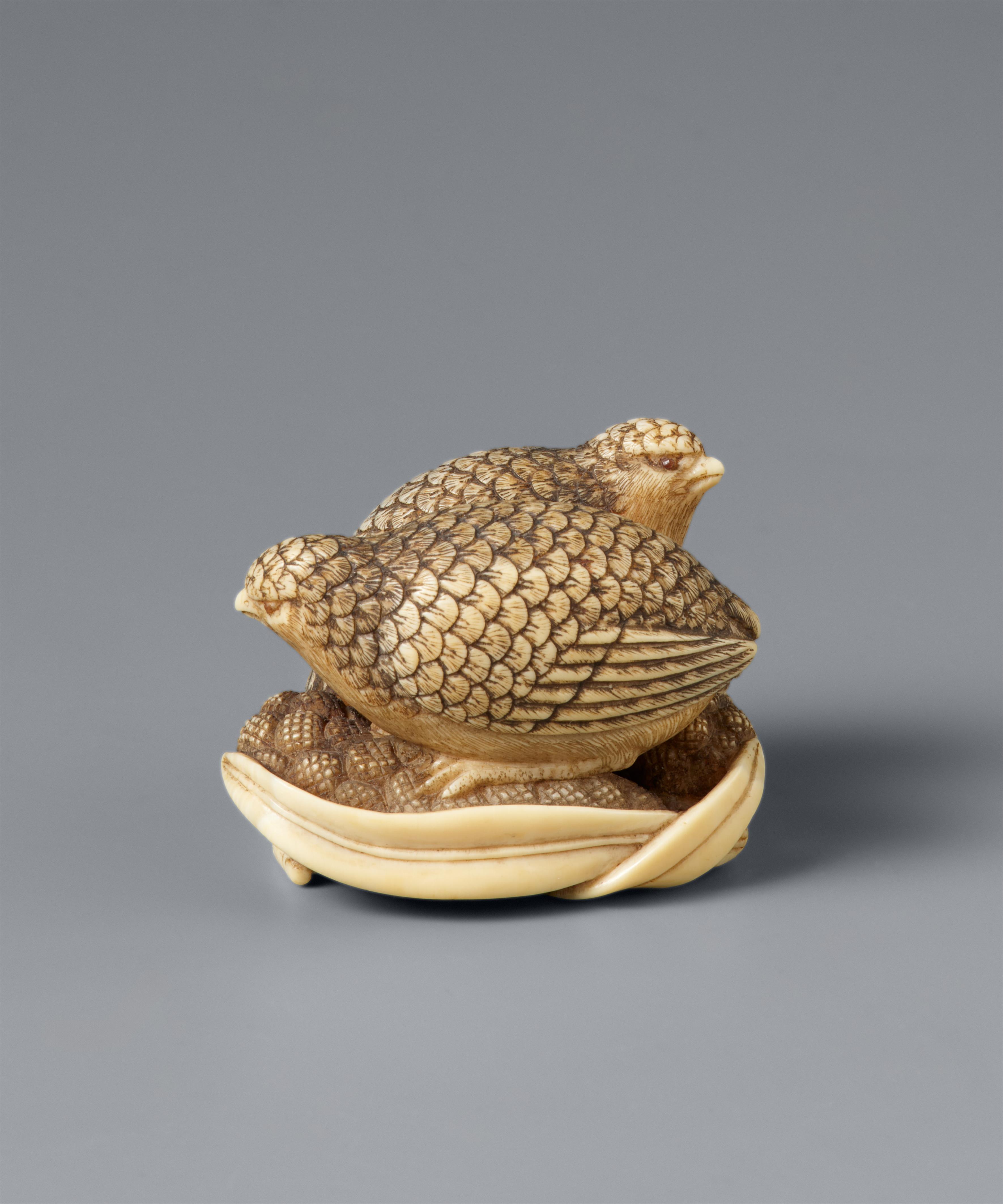 Netsuke zweier Wachteln auf Hirse. Elfenbein. Kyoto. Frühes 19. Jh. - image-8