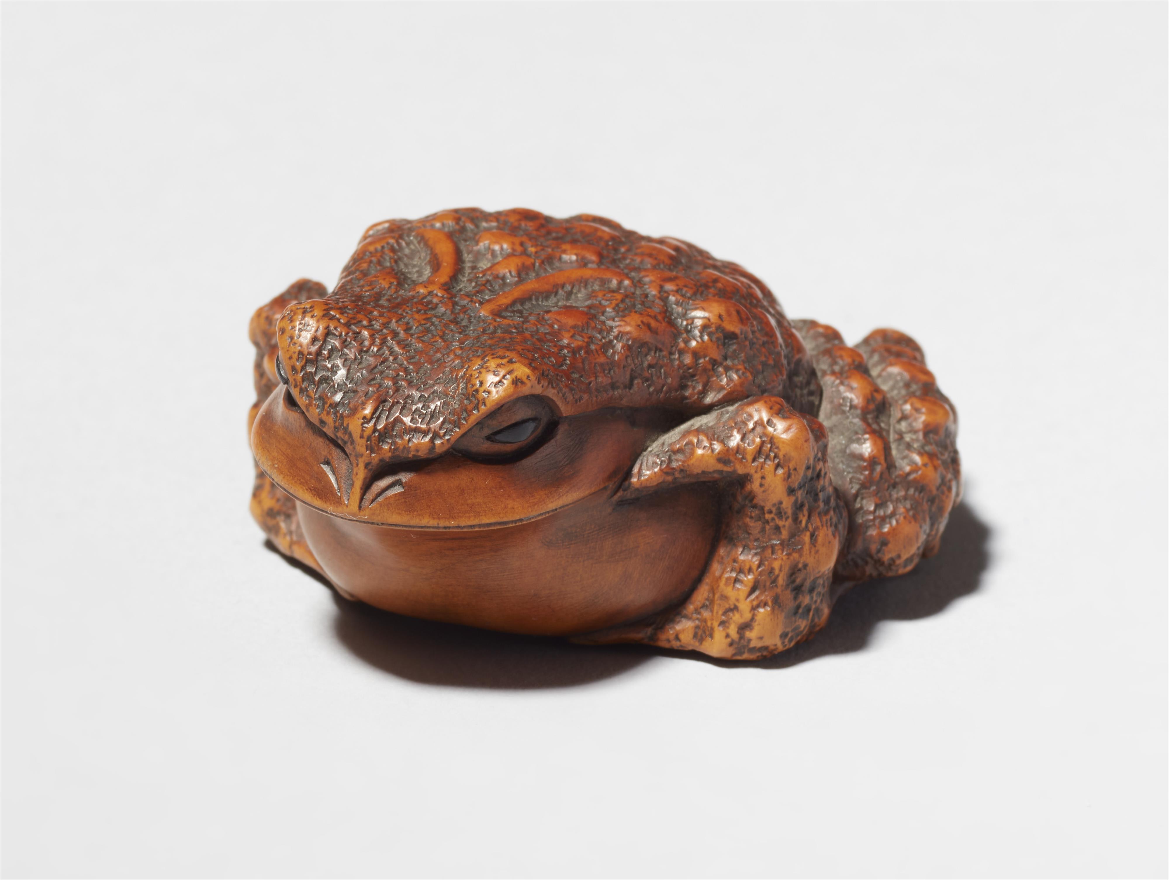 Netsuke einer hockenden Kröte. Buchsbaum. Ise. 19. Jh. - image-2