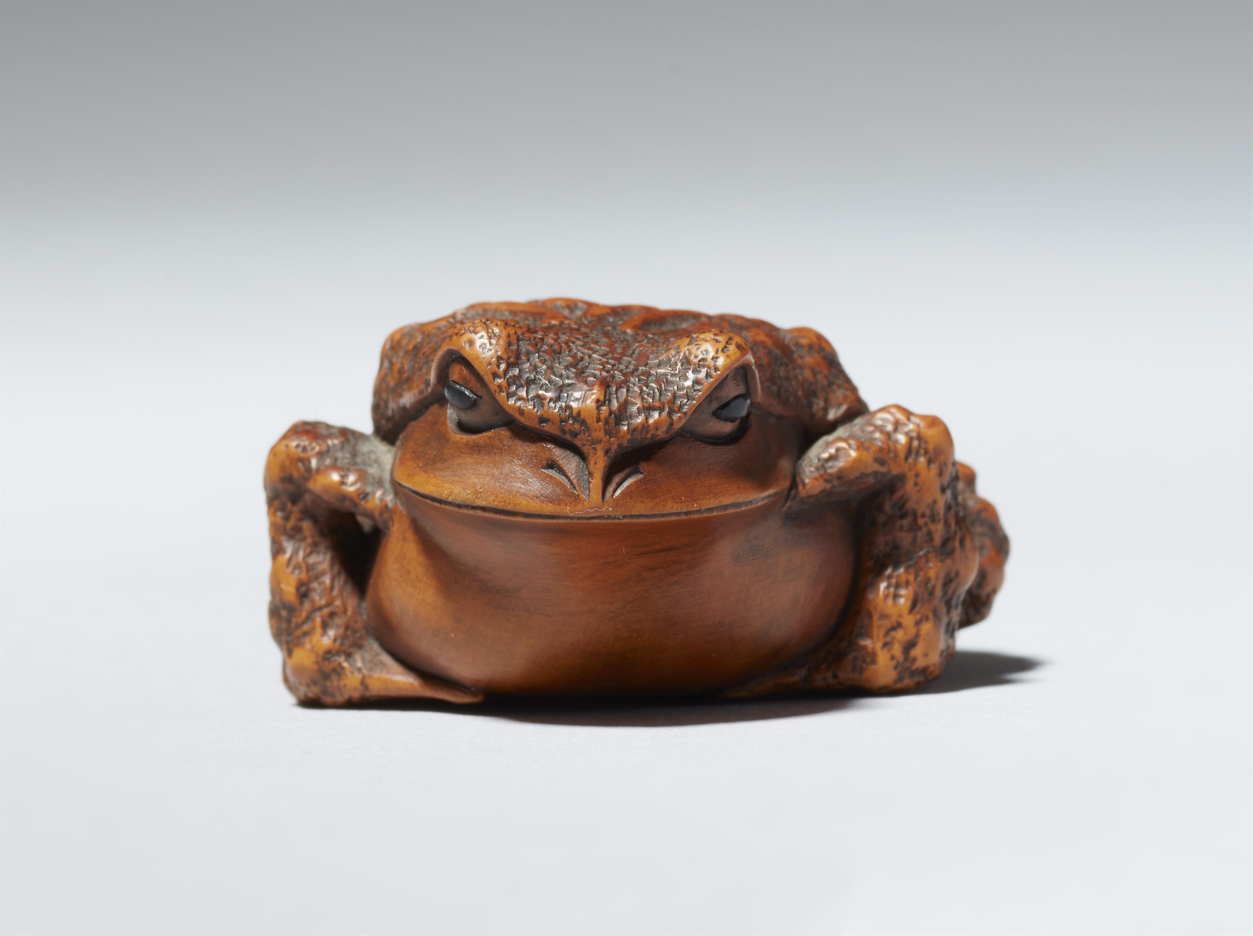 Netsuke einer hockenden Kröte. Buchsbaum. Ise. 19. Jh. - image-3