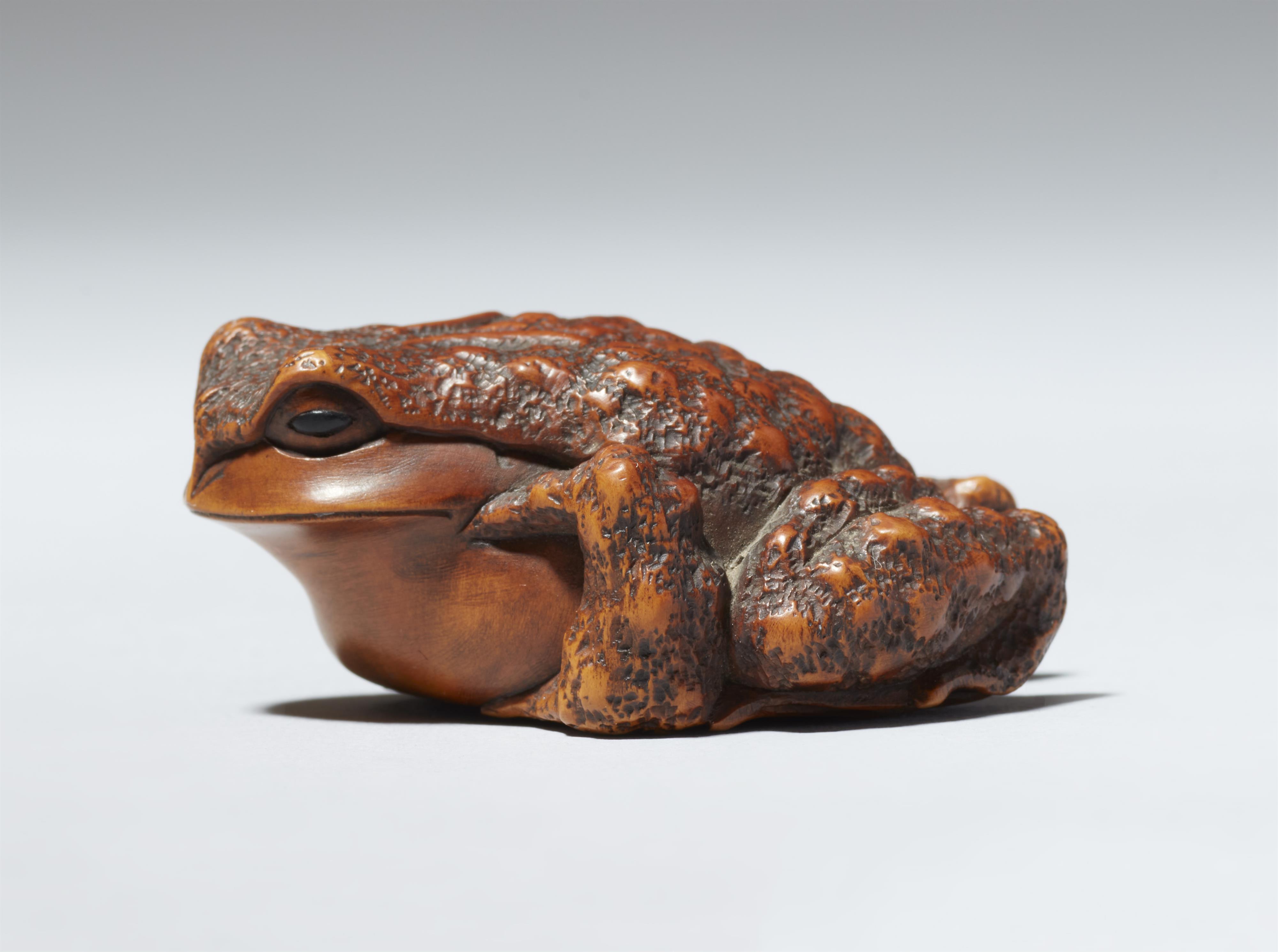 An Ise boxwood netsuke of a toad by Masanao. 19th century - image-4