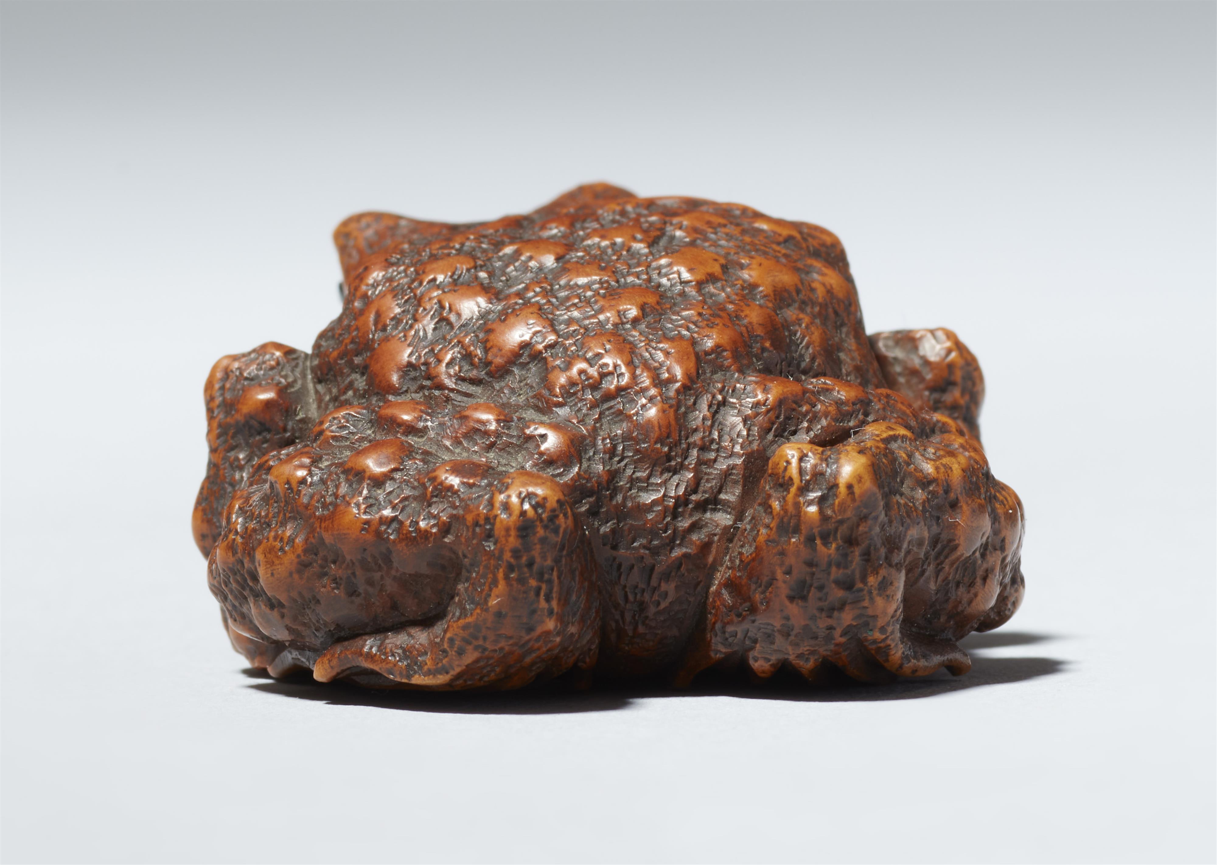 An Ise boxwood netsuke of a toad by Masanao. 19th century - image-5