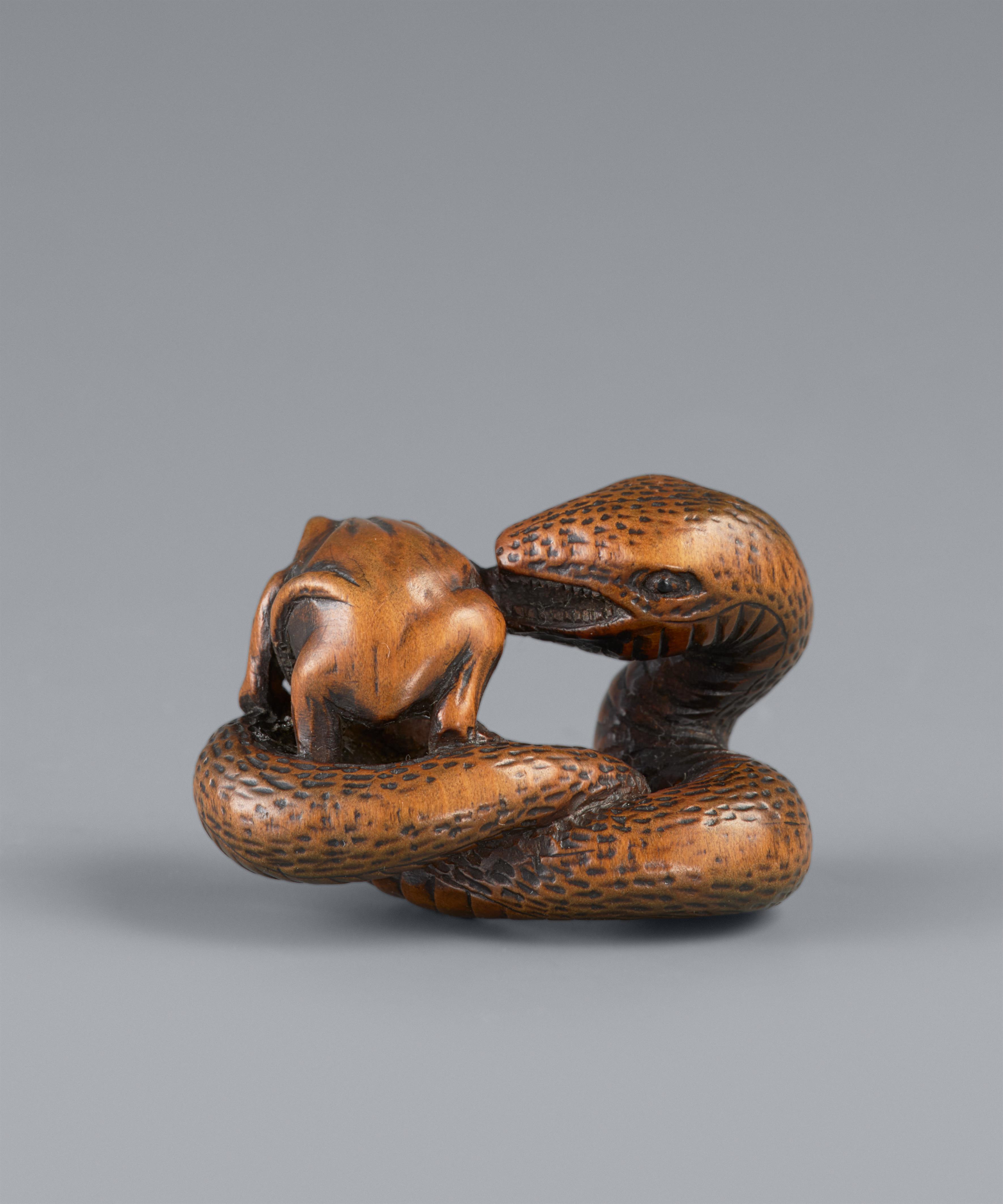 A boxwood netsuke of a snake and toad by Koichi. 19th century - image-2