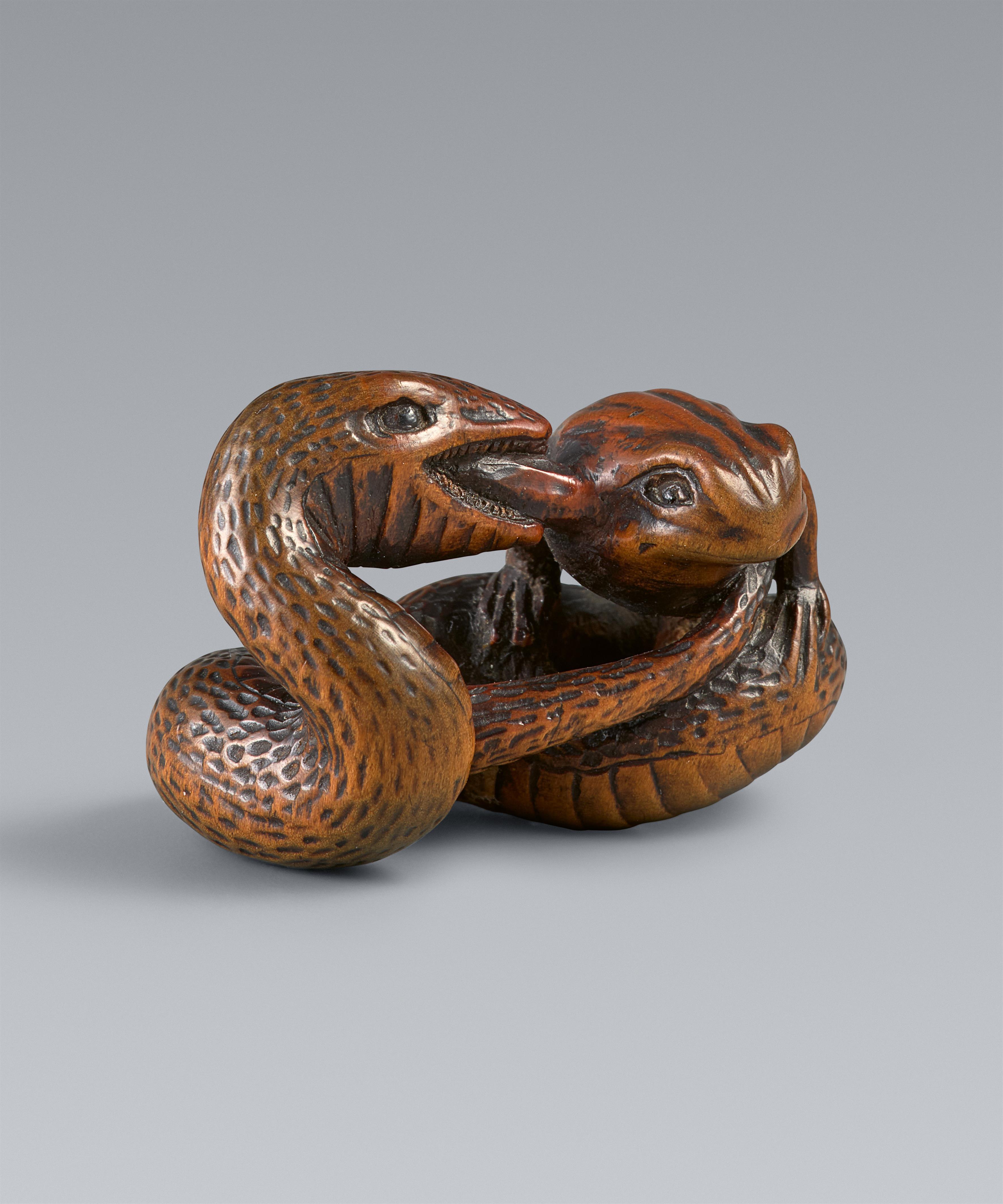 A boxwood netsuke of a snake and toad by Koichi. 19th century - image-1