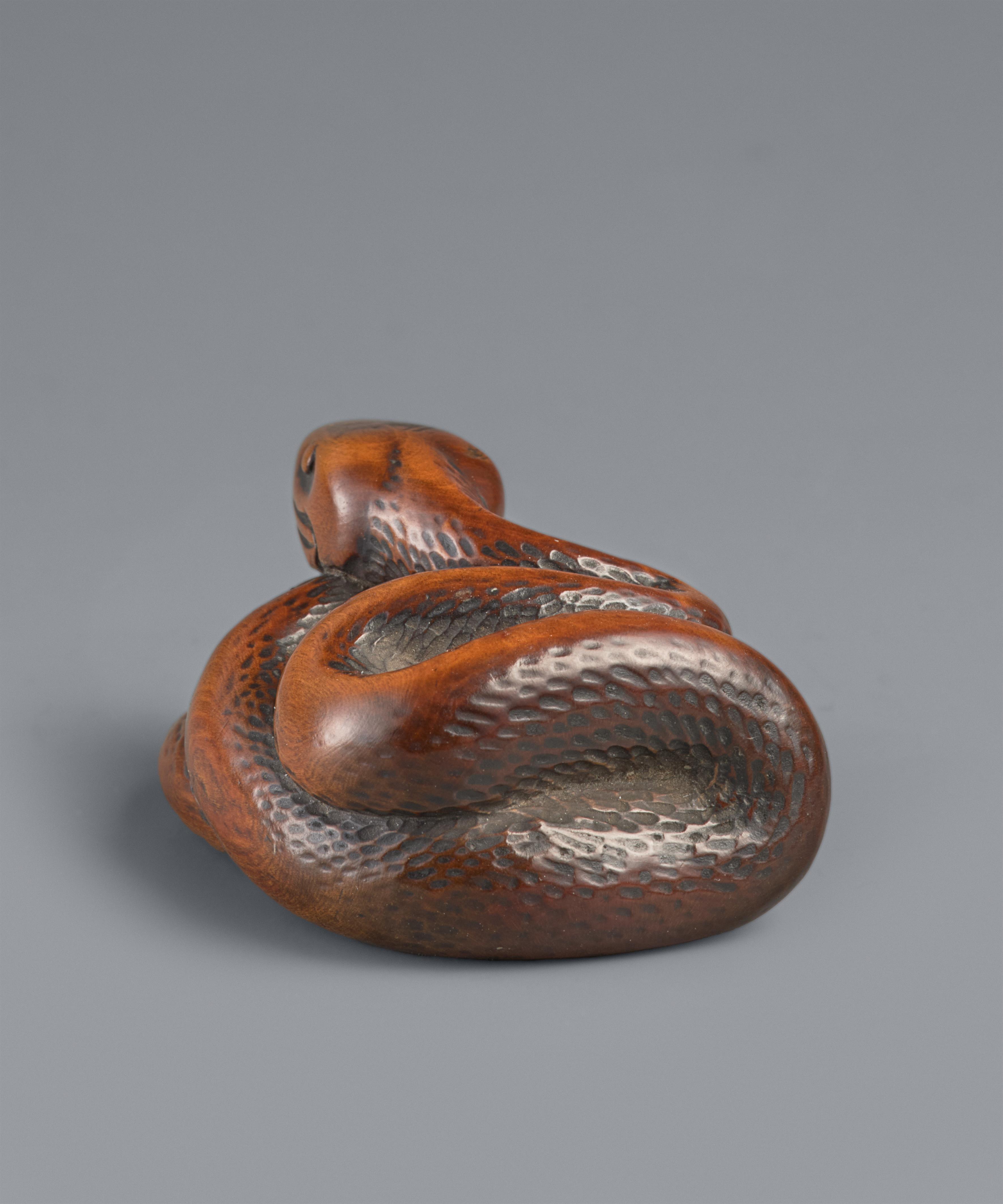 A boxwood netsuke of a coiled snake. 19th century - image-2