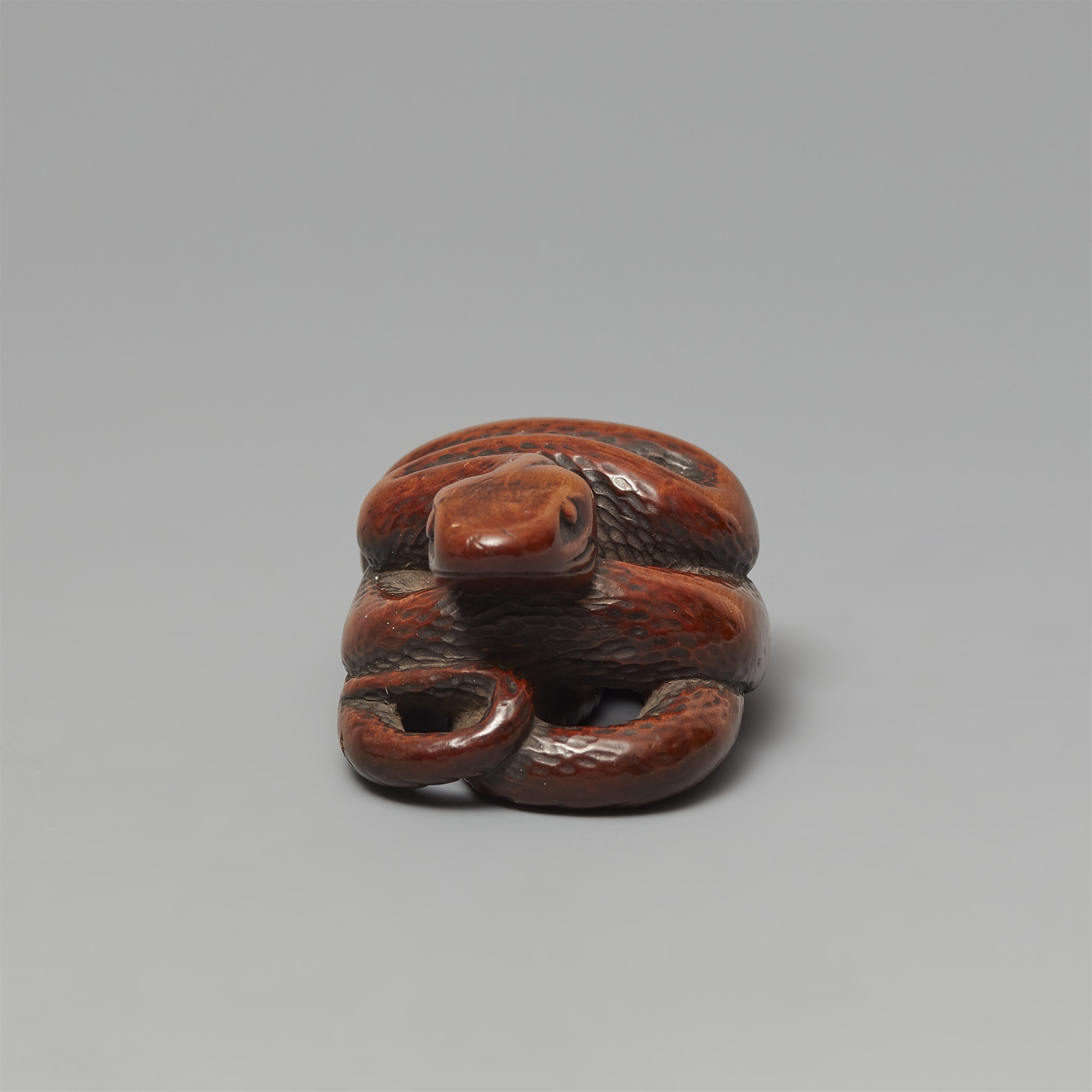 A boxwood netsuke of a coiled snake. 19th century - image-3