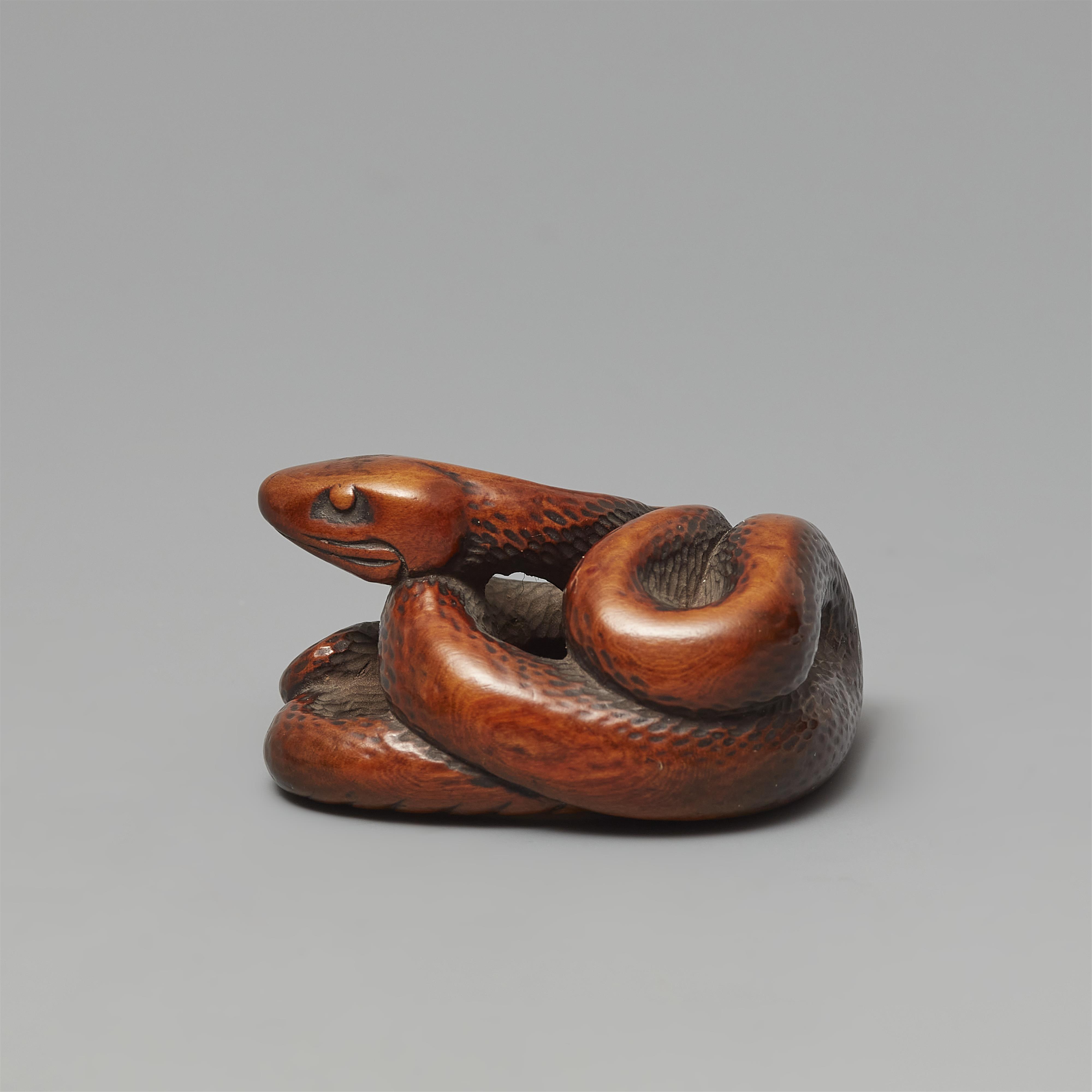 A boxwood netsuke of a coiled snake. 19th century - image-4