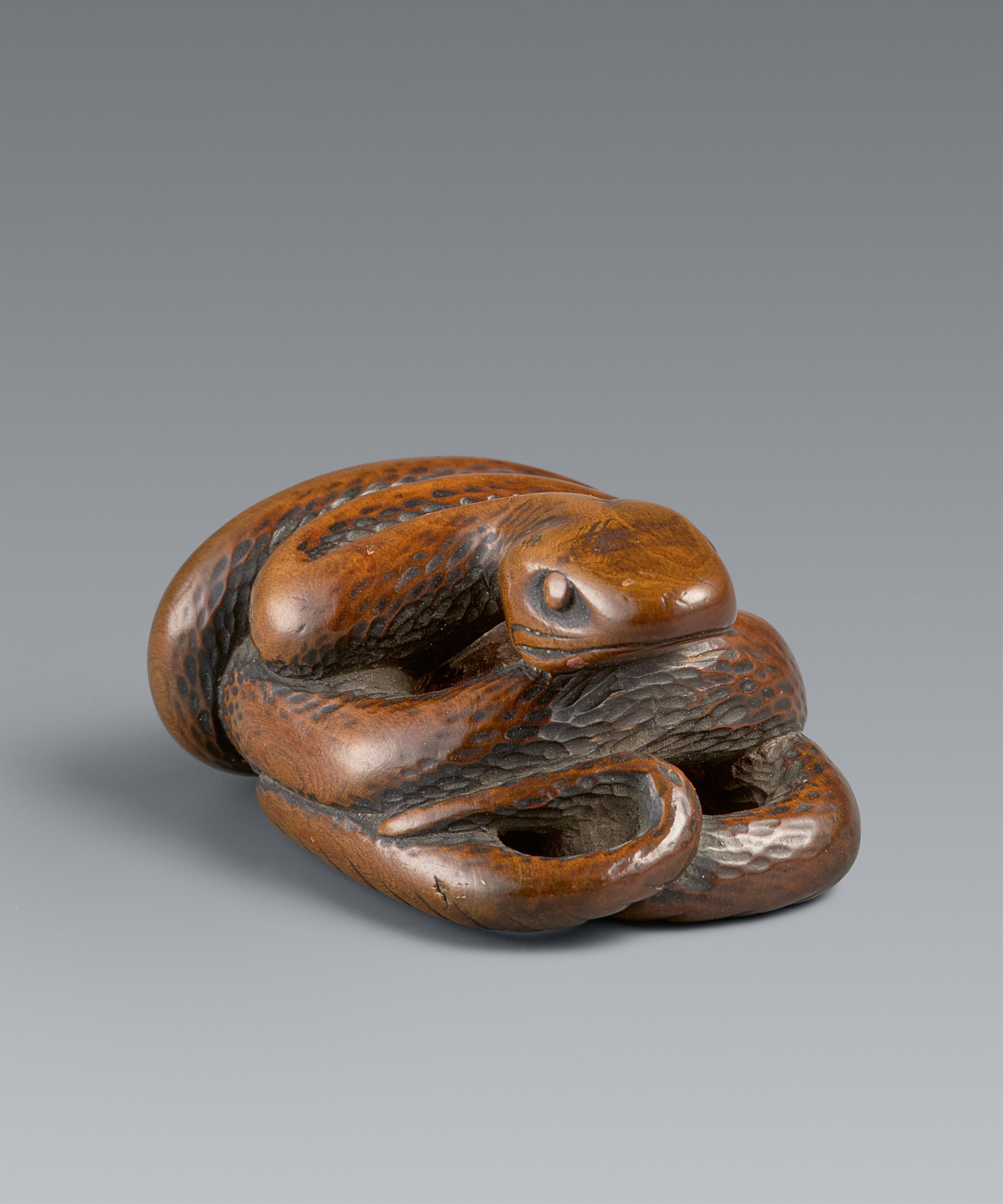 A boxwood netsuke of a coiled snake. 19th century - image-1