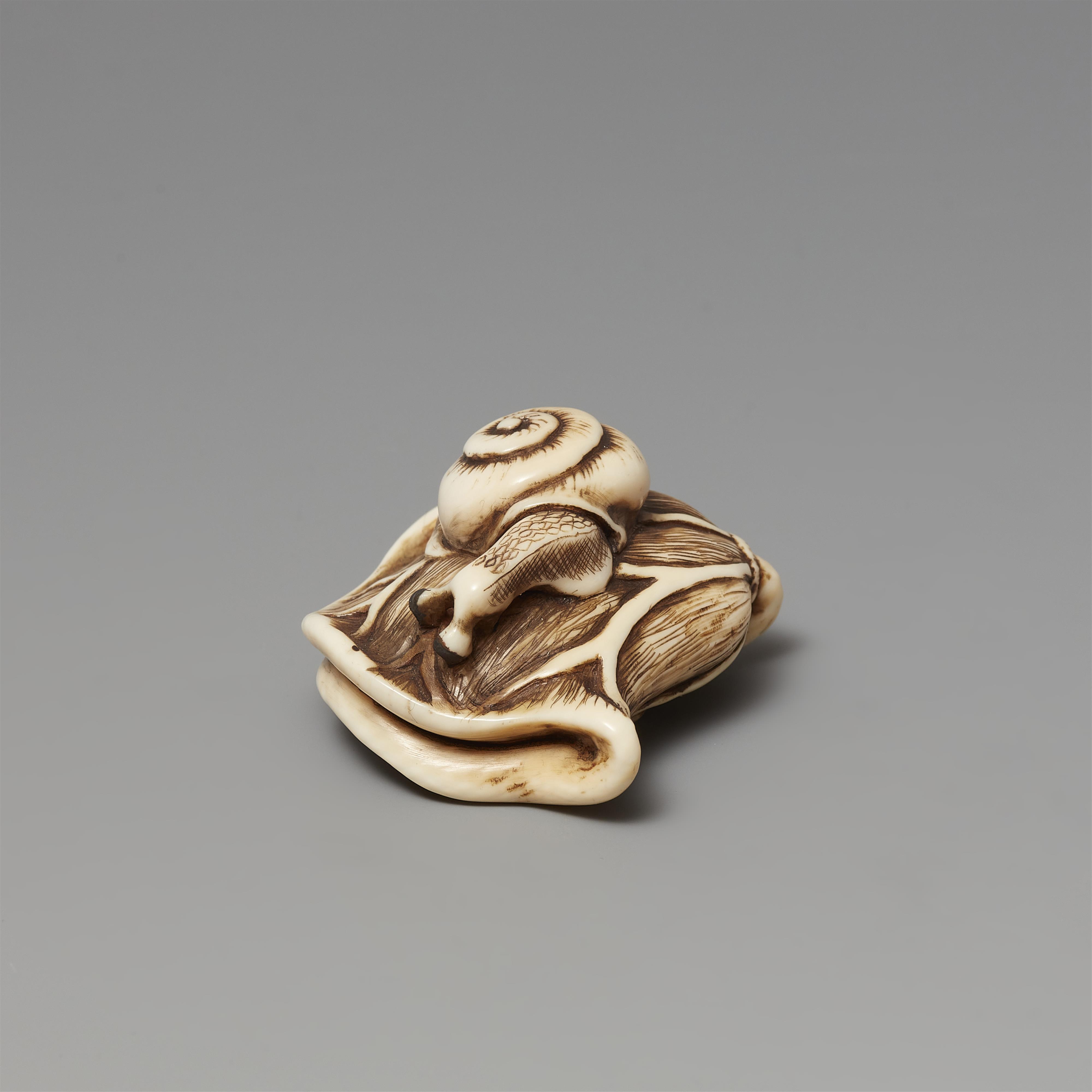 Netsuke einer Schnecke auf zusammengeklapptem Lotosblatt. Elfenbein. 19. Jh. - image-2