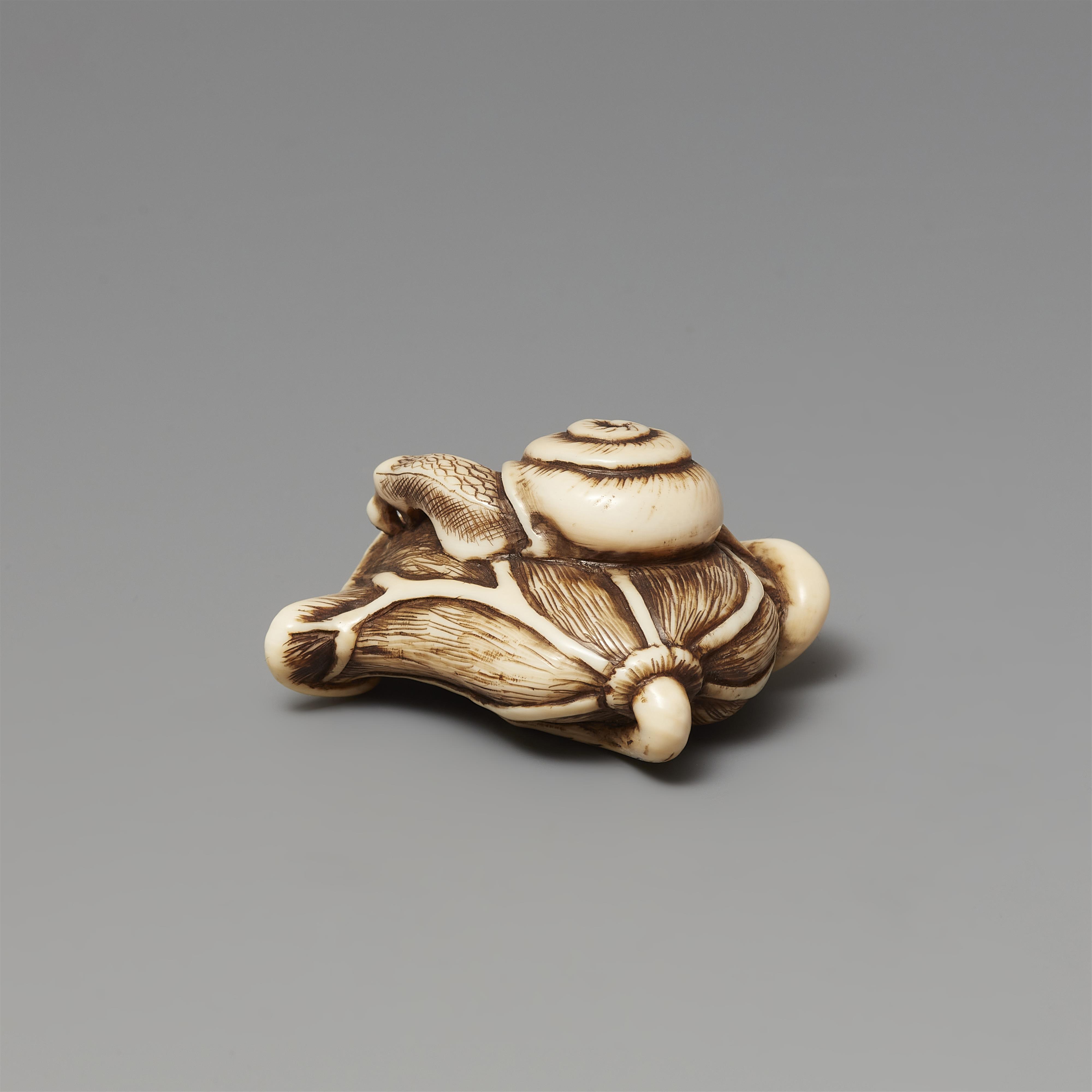 Netsuke einer Schnecke auf zusammengeklapptem Lotosblatt. Elfenbein. 19. Jh. - image-3