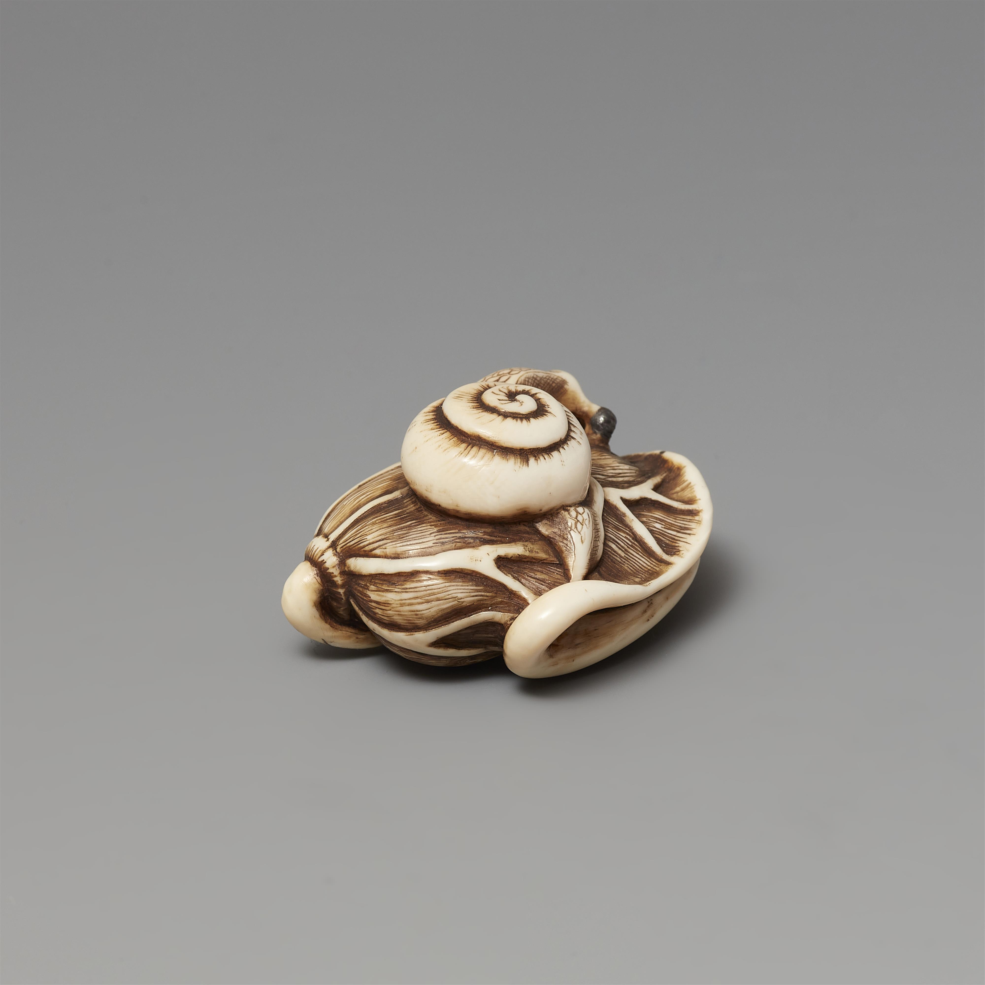 Netsuke einer Schnecke auf zusammengeklapptem Lotosblatt. Elfenbein. 19. Jh. - image-4