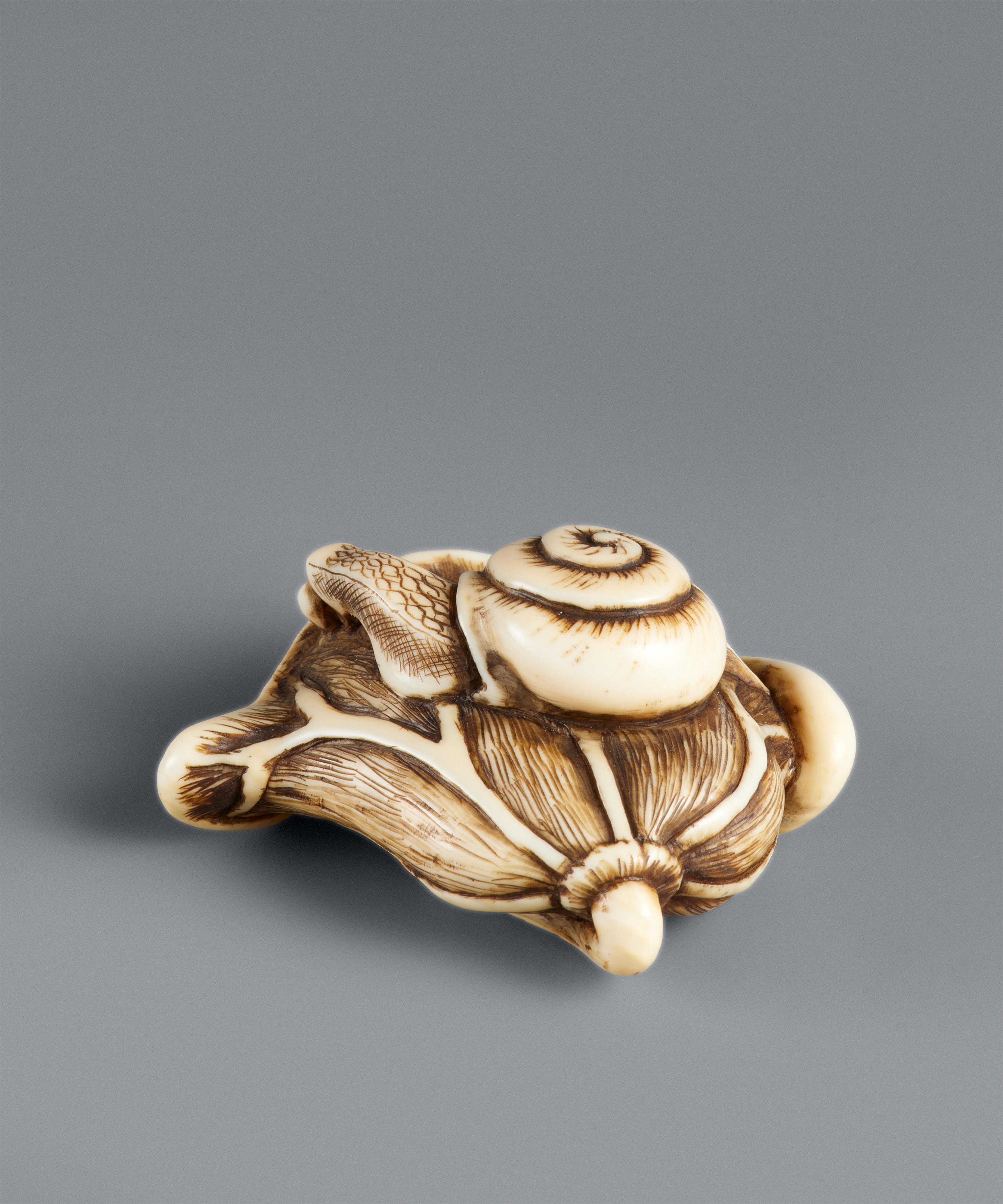 Netsuke einer Schnecke auf zusammengeklapptem Lotosblatt. Elfenbein. 19. Jh. - image-6